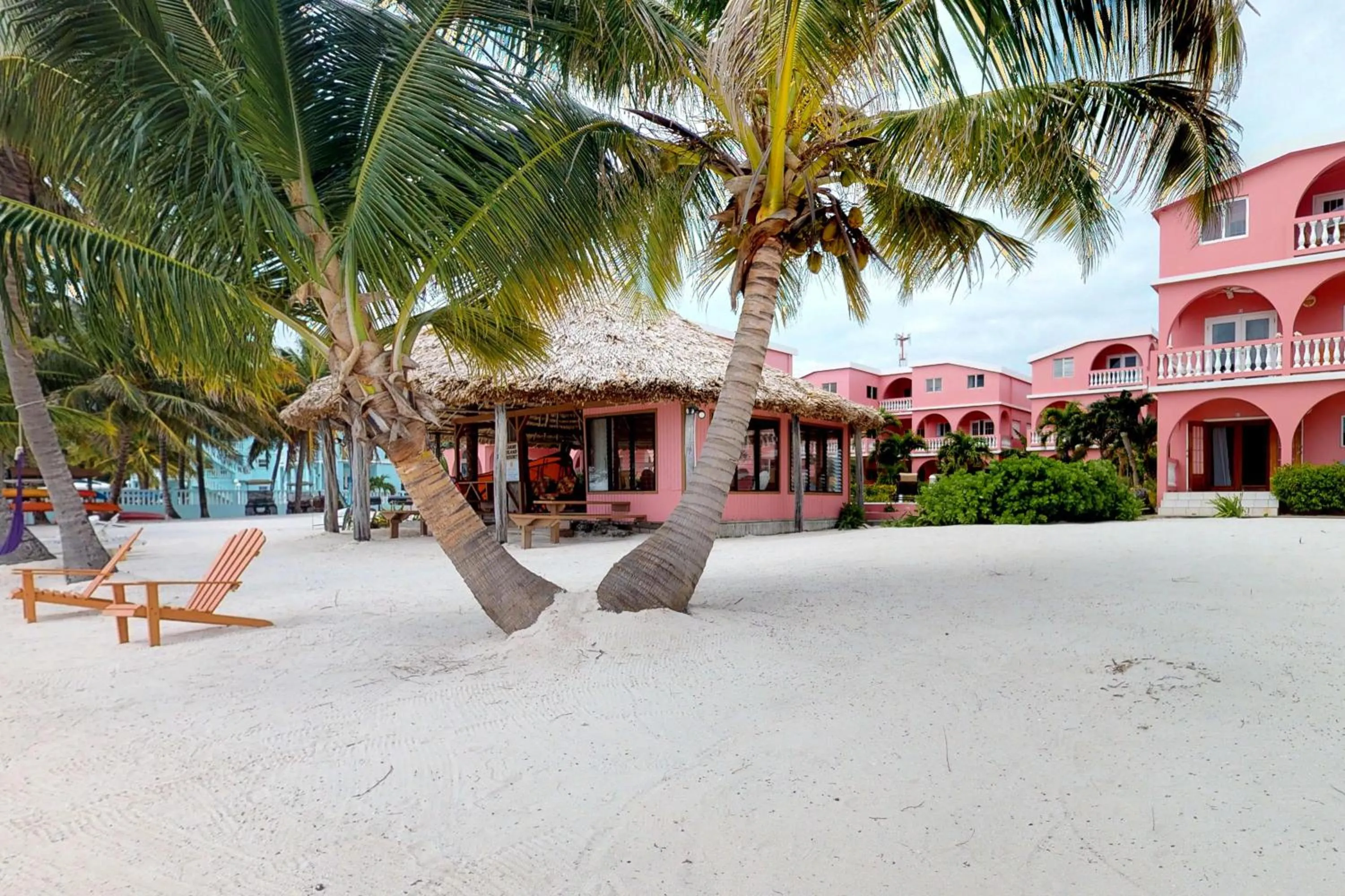 Caribbean Lily @ Caribe Island