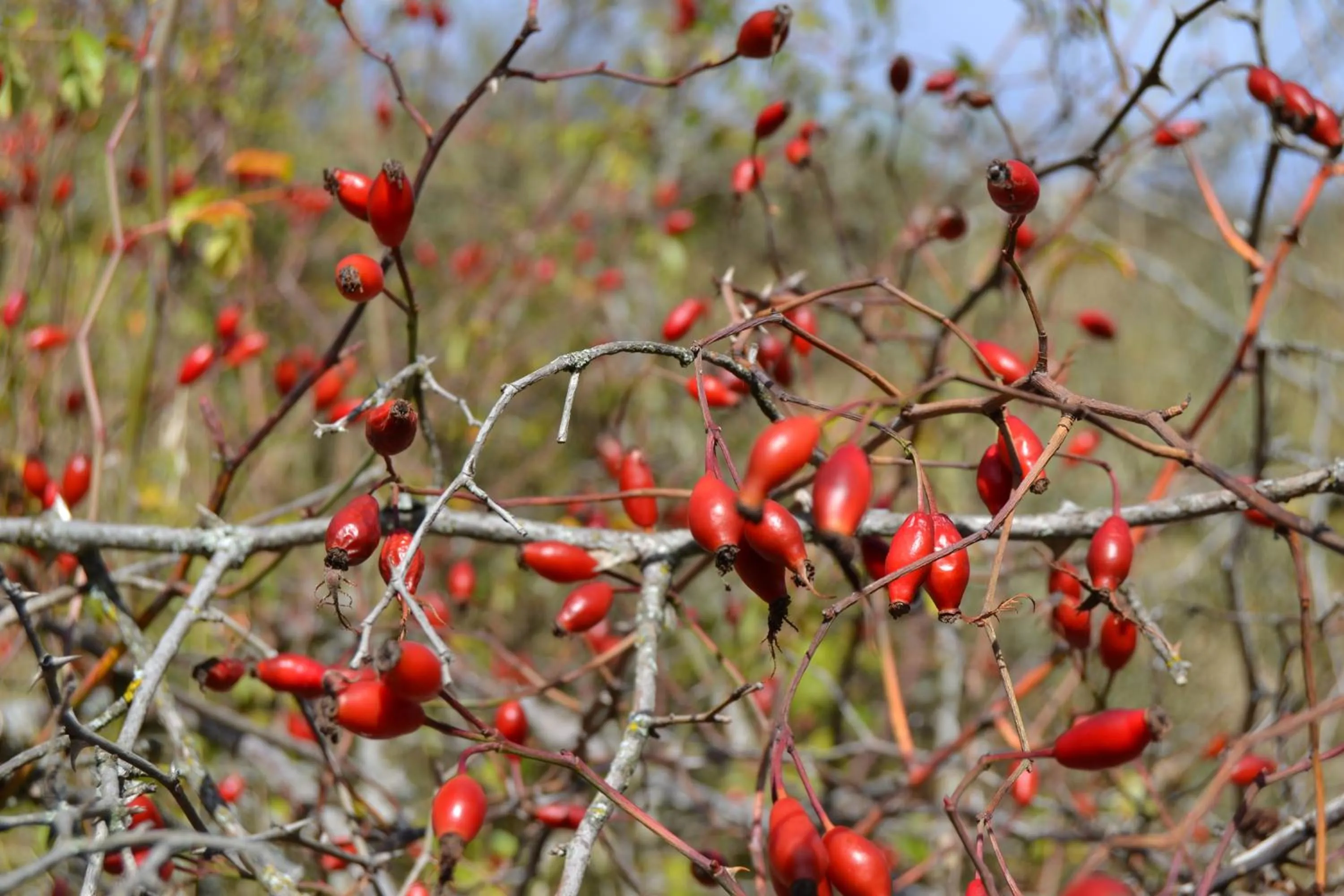 Natural landscape in Tres Puentes Anguiano Apartamentos y Hostal