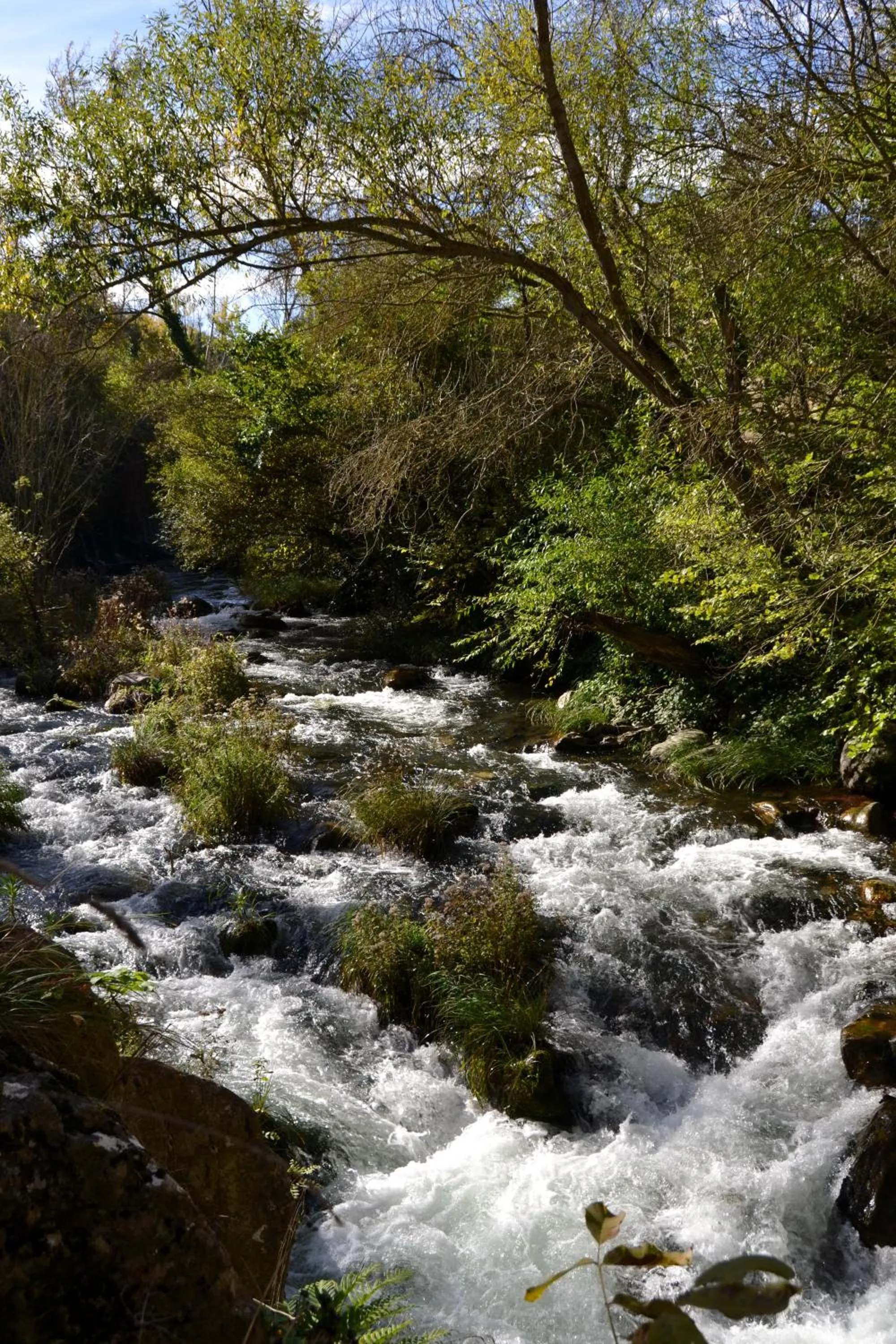 Natural landscape in Tres Puentes Anguiano Apartamentos y Hostal