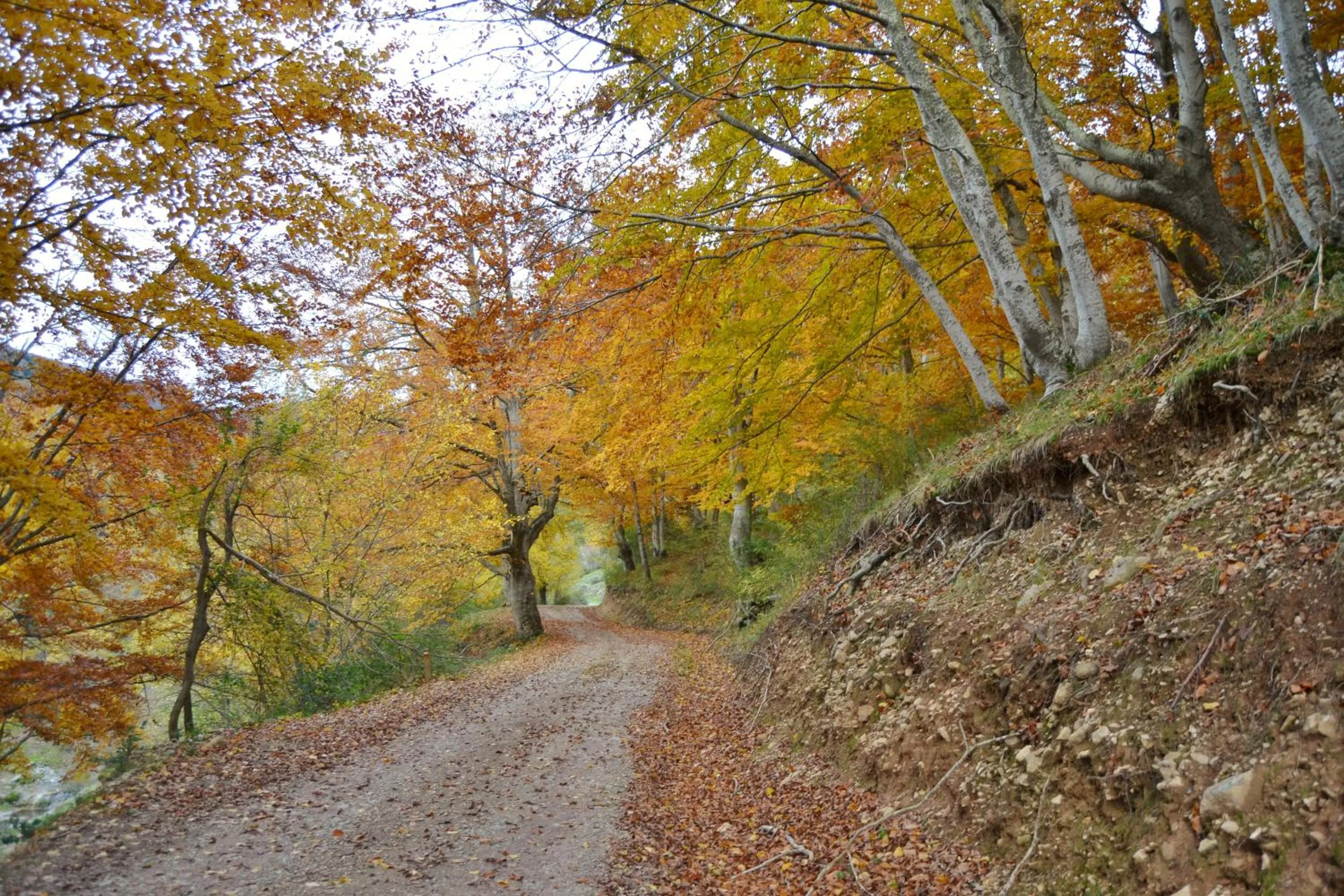 Natural landscape in Tres Puentes Anguiano Apartamentos y Hostal
