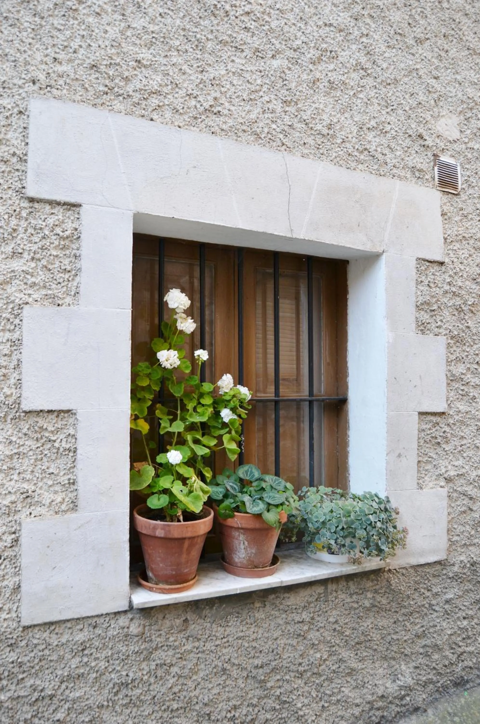 Neighbourhood in Tres Puentes Anguiano Apartamentos y Hostal