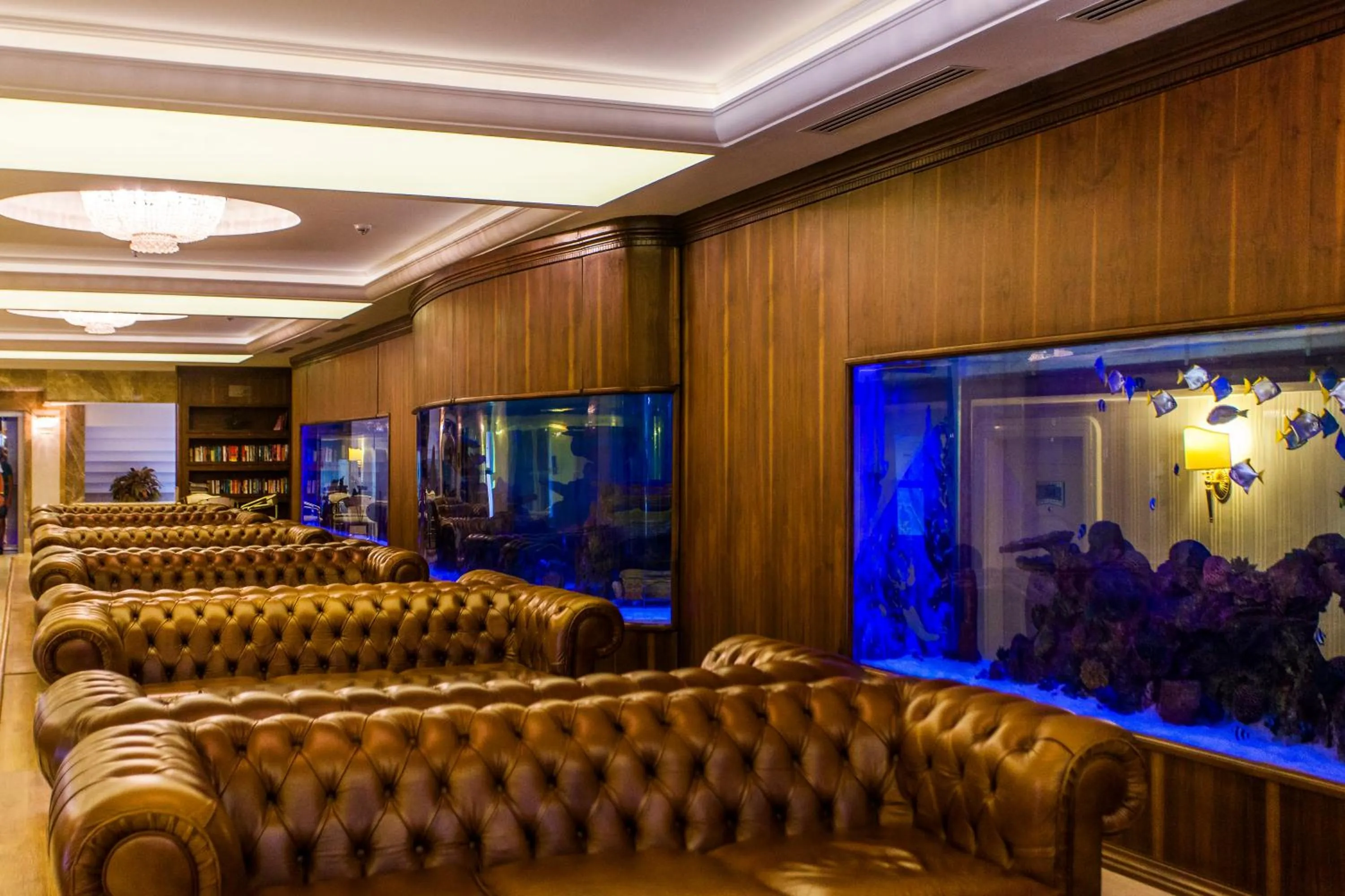 Lobby or reception in White Gold Hotel & Spa