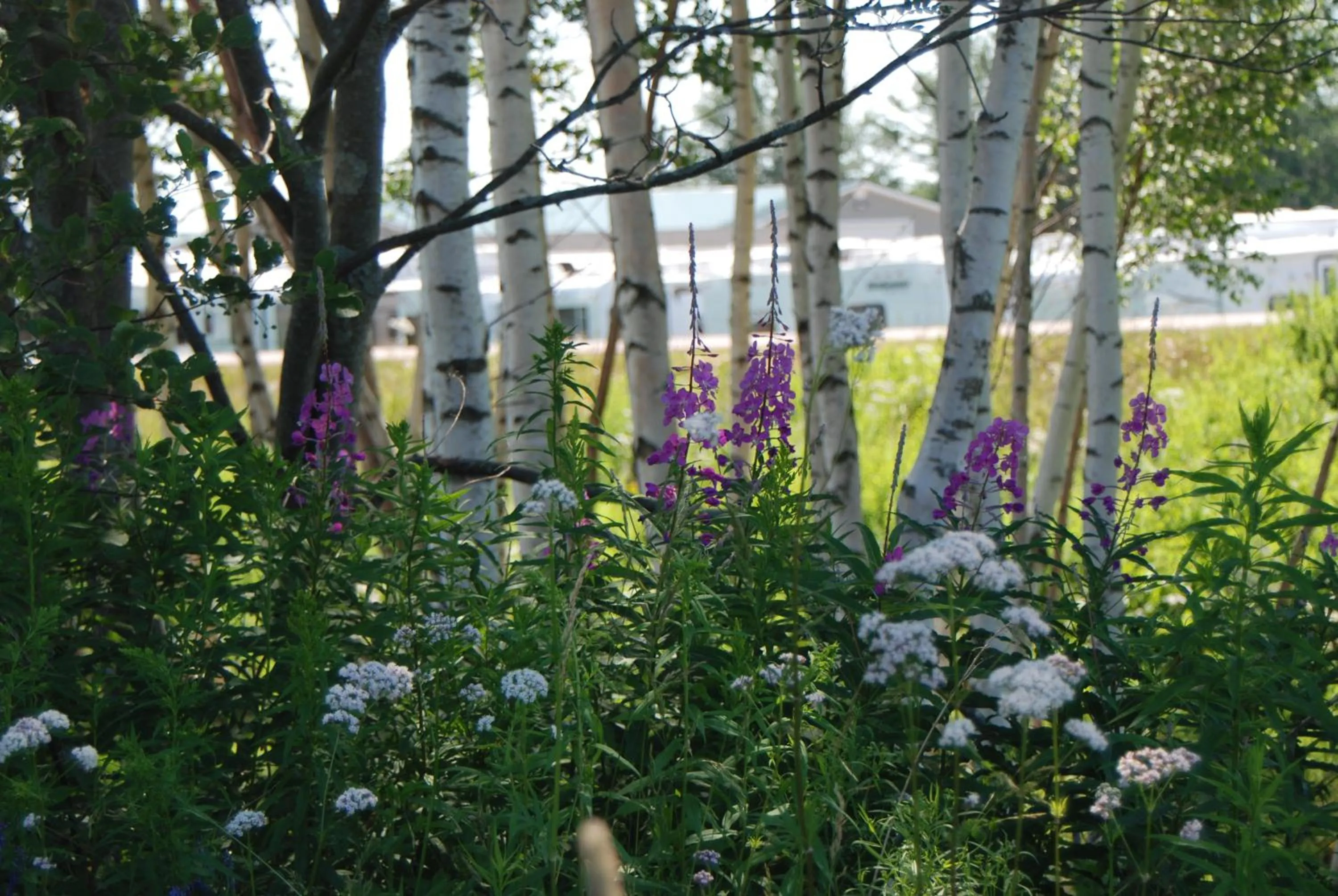 On site in Tantramar Motel