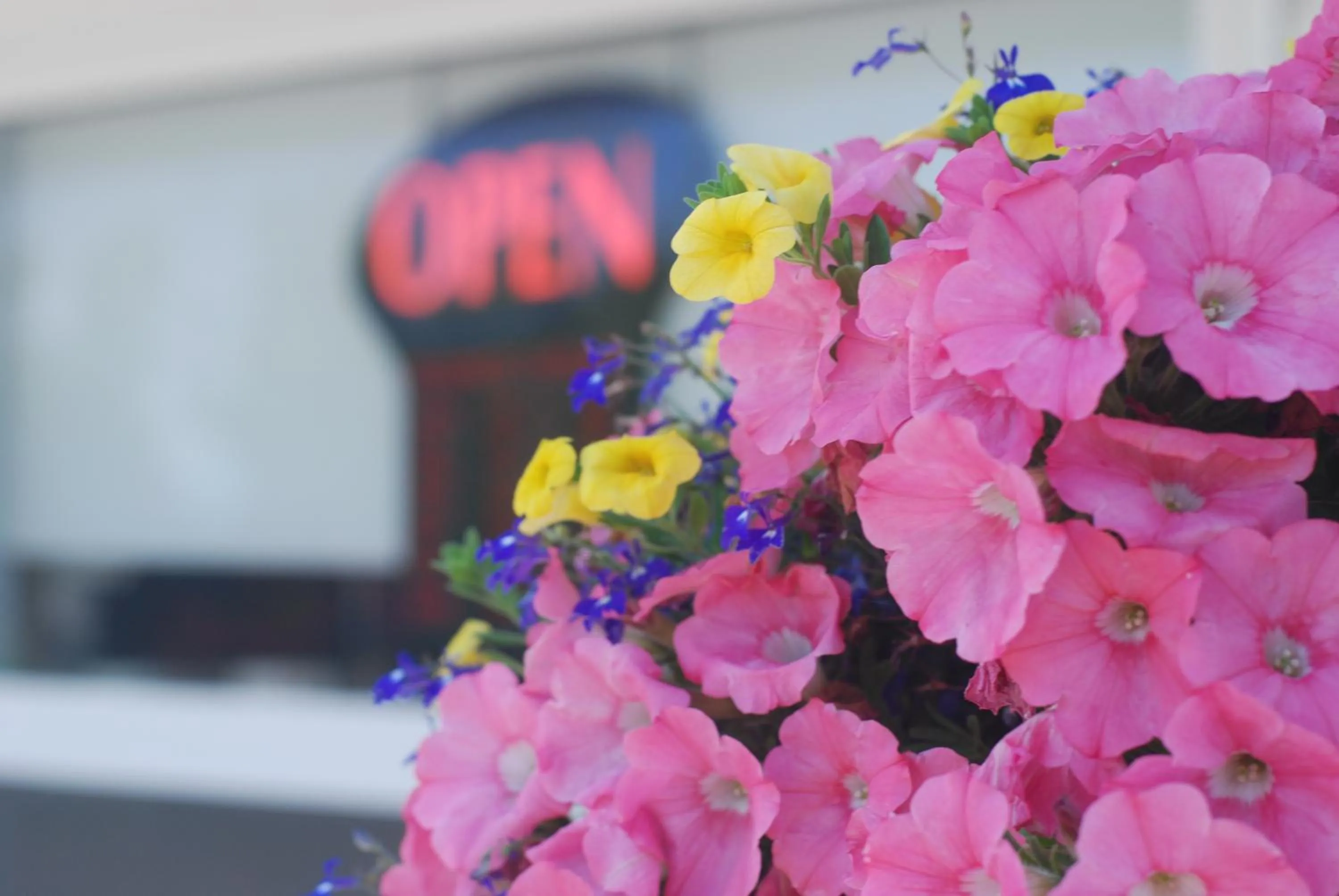 On site in Tantramar Motel