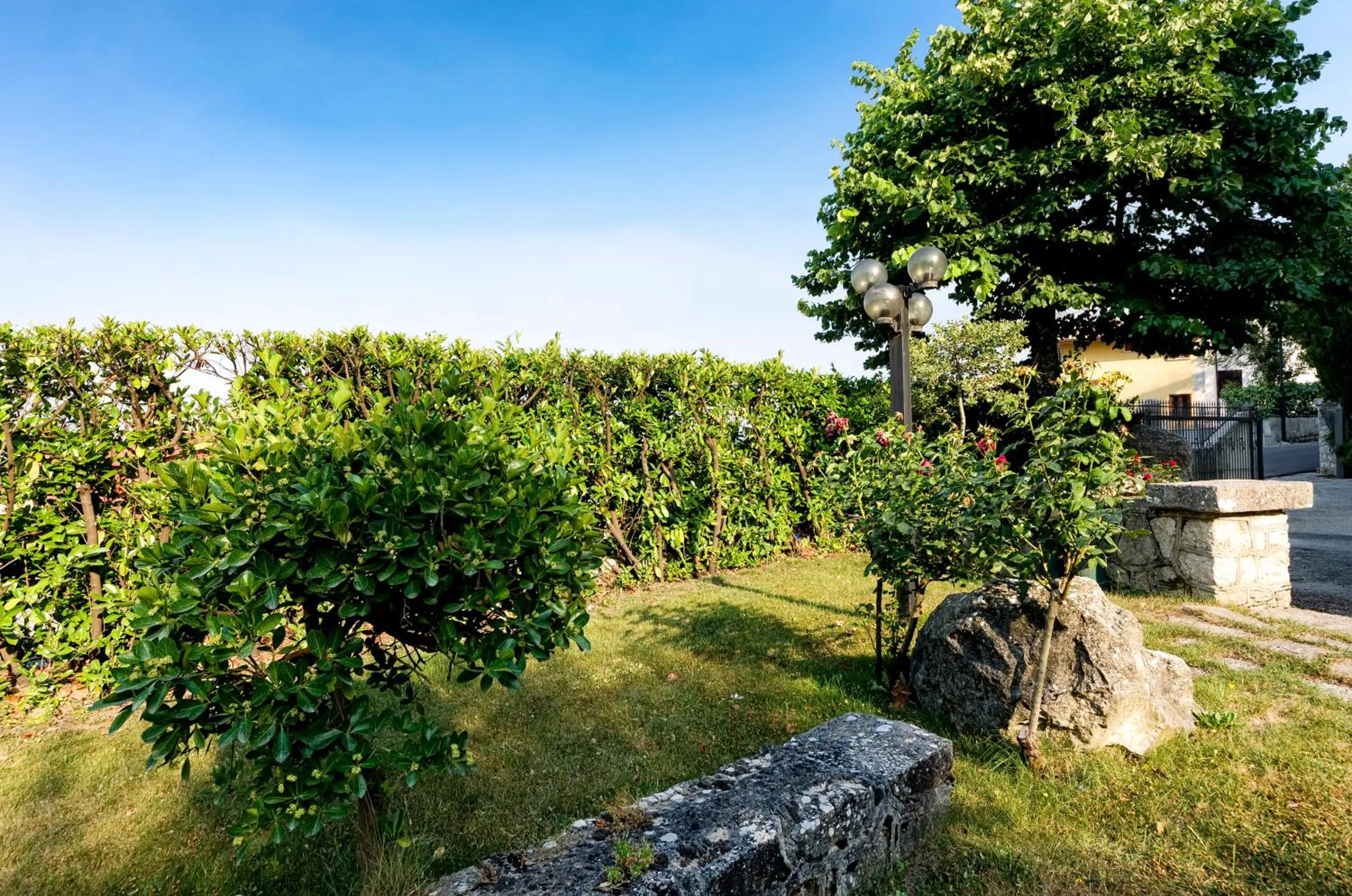 Garden in Hotel Colucci