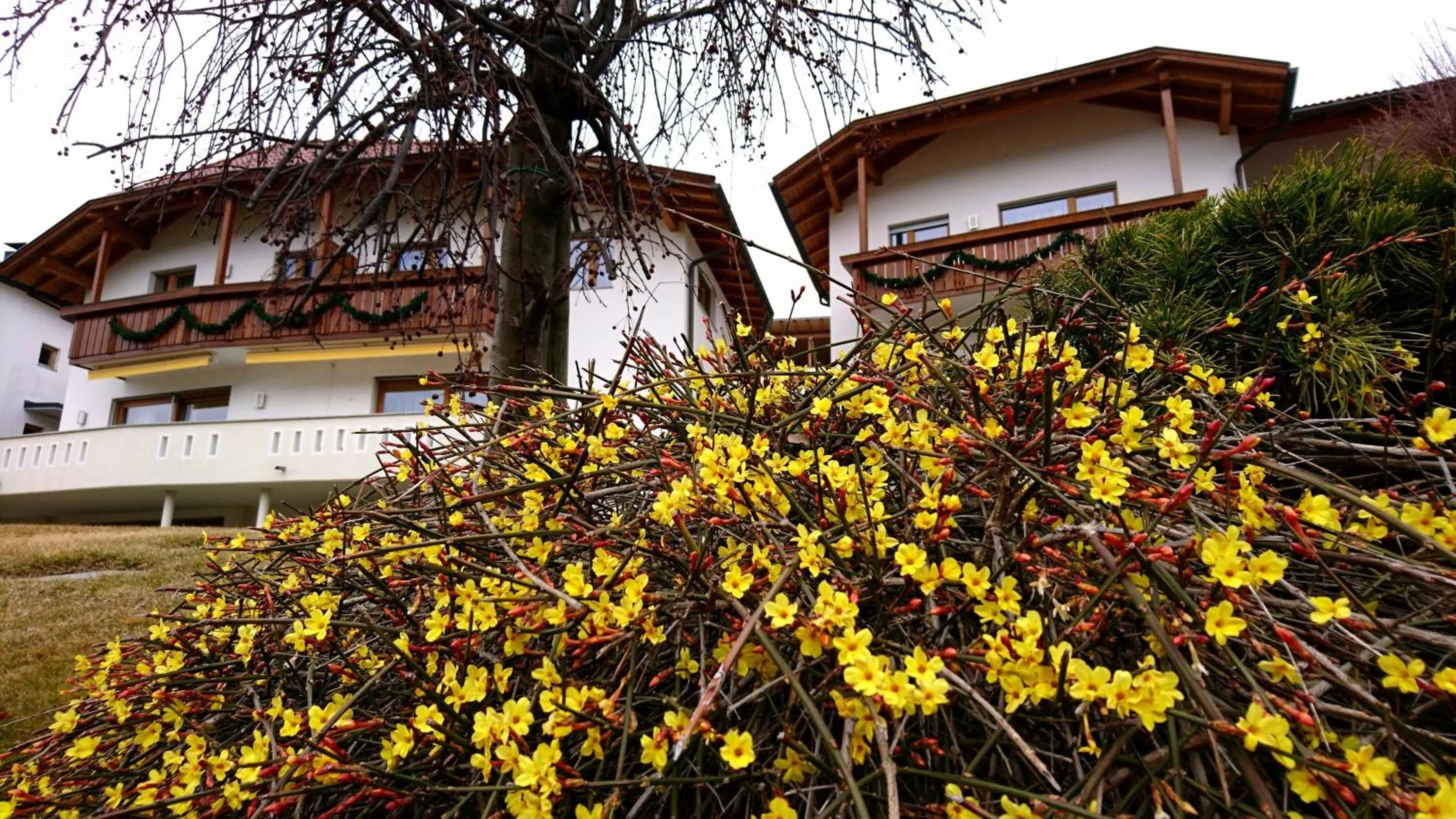 Spring in Residence Sonnberg