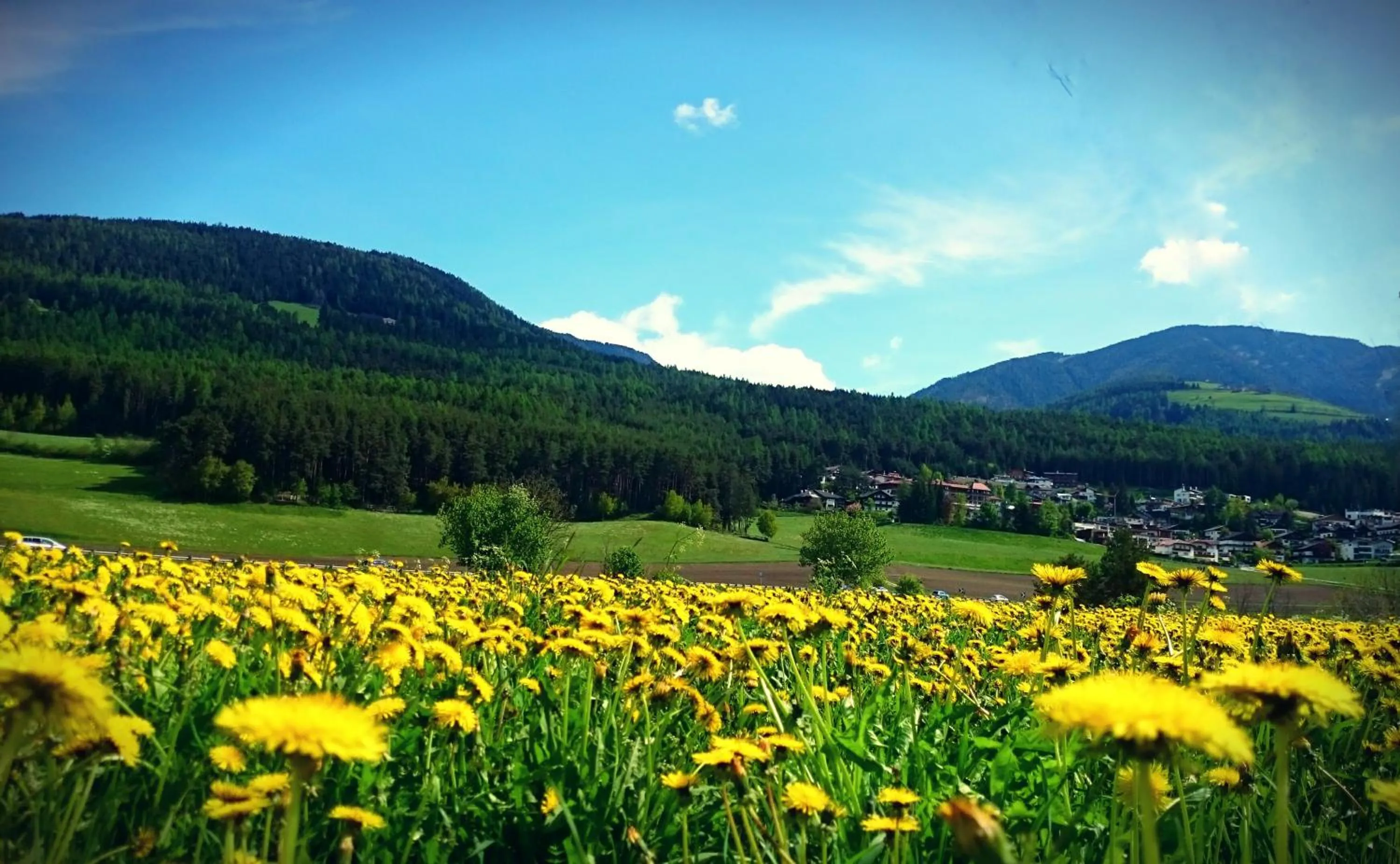 Natural landscape in Residence Sonnberg