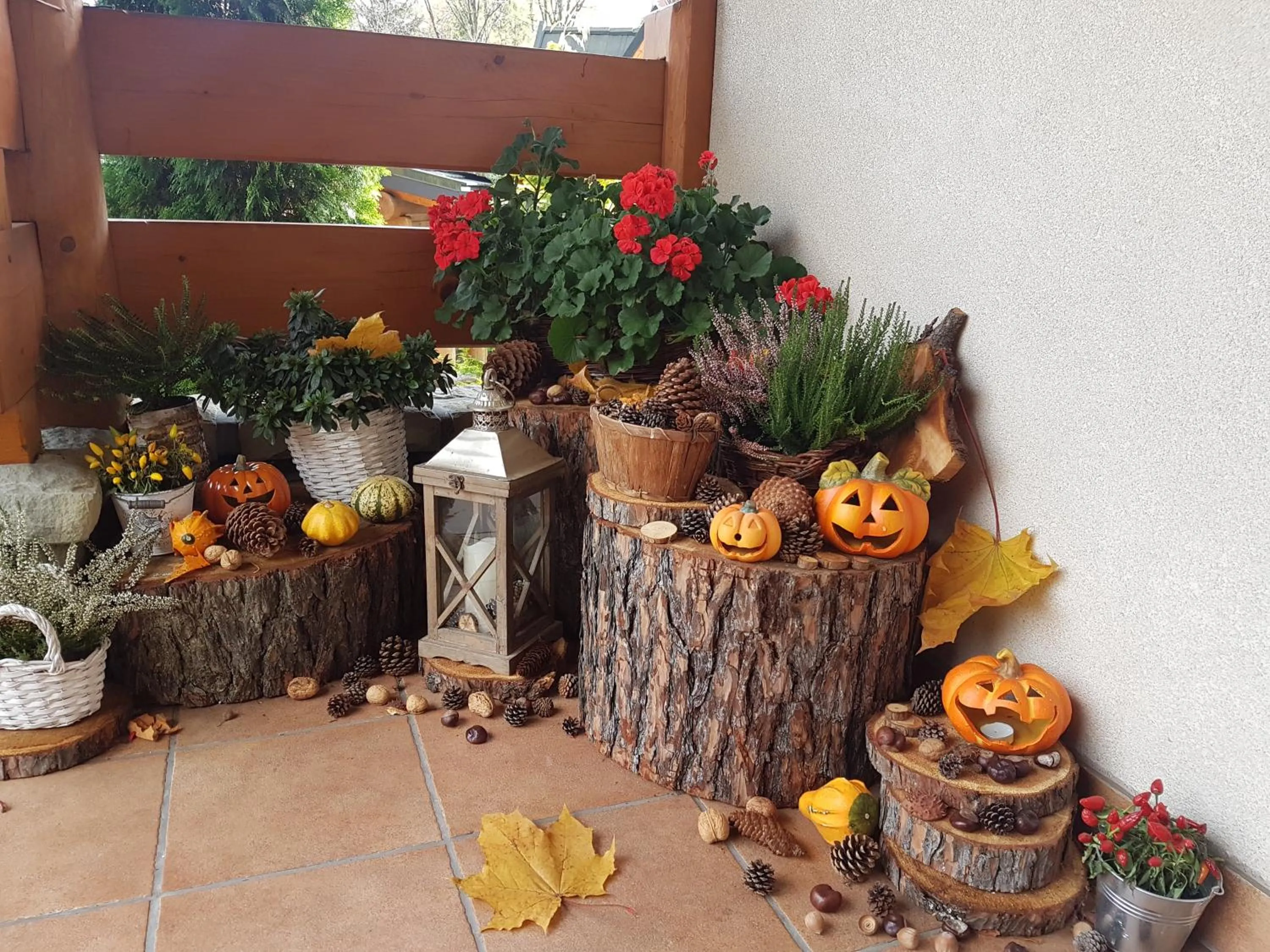 Leśny Dworek Zakopane