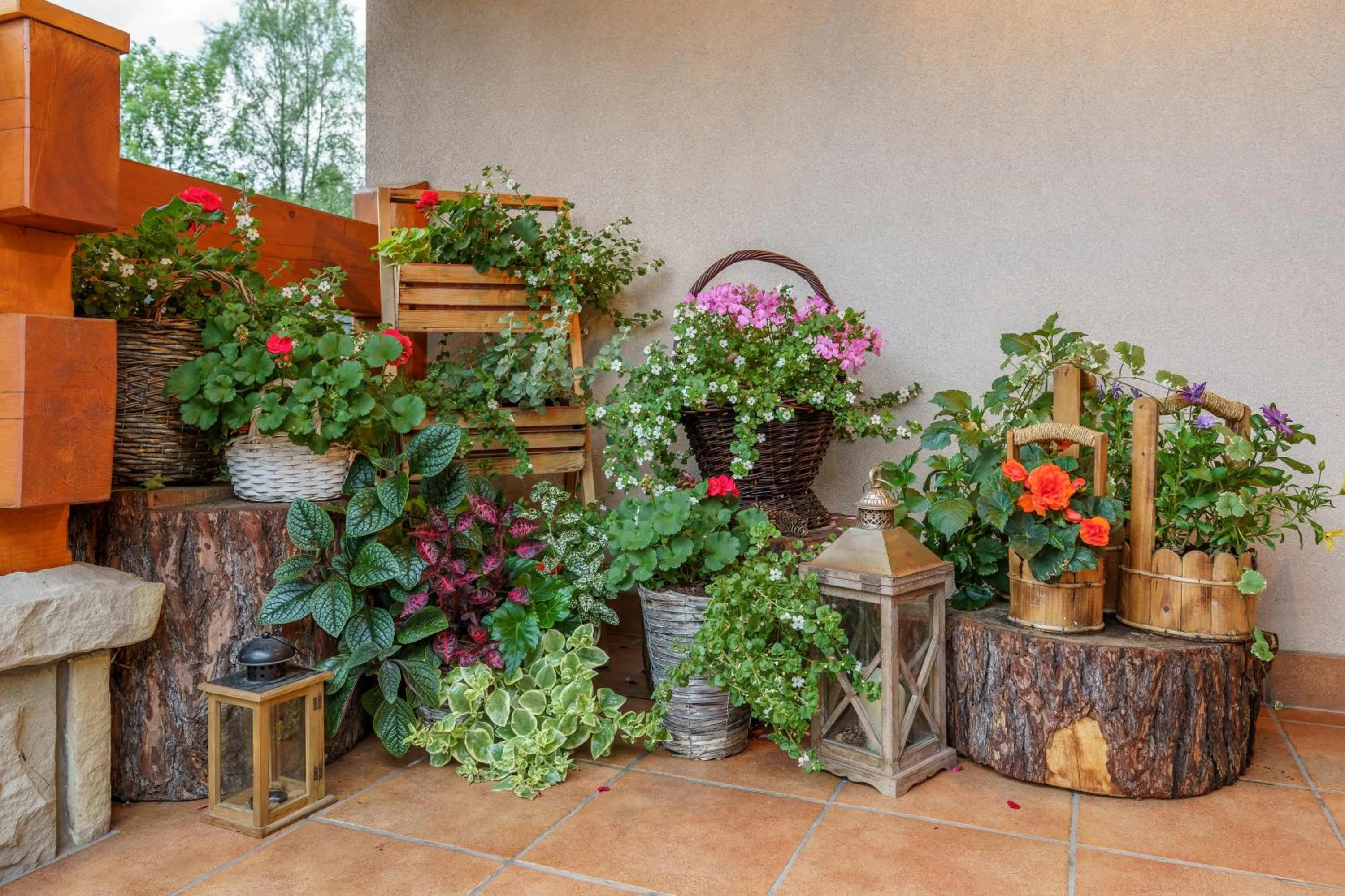 Leśny Dworek Zakopane