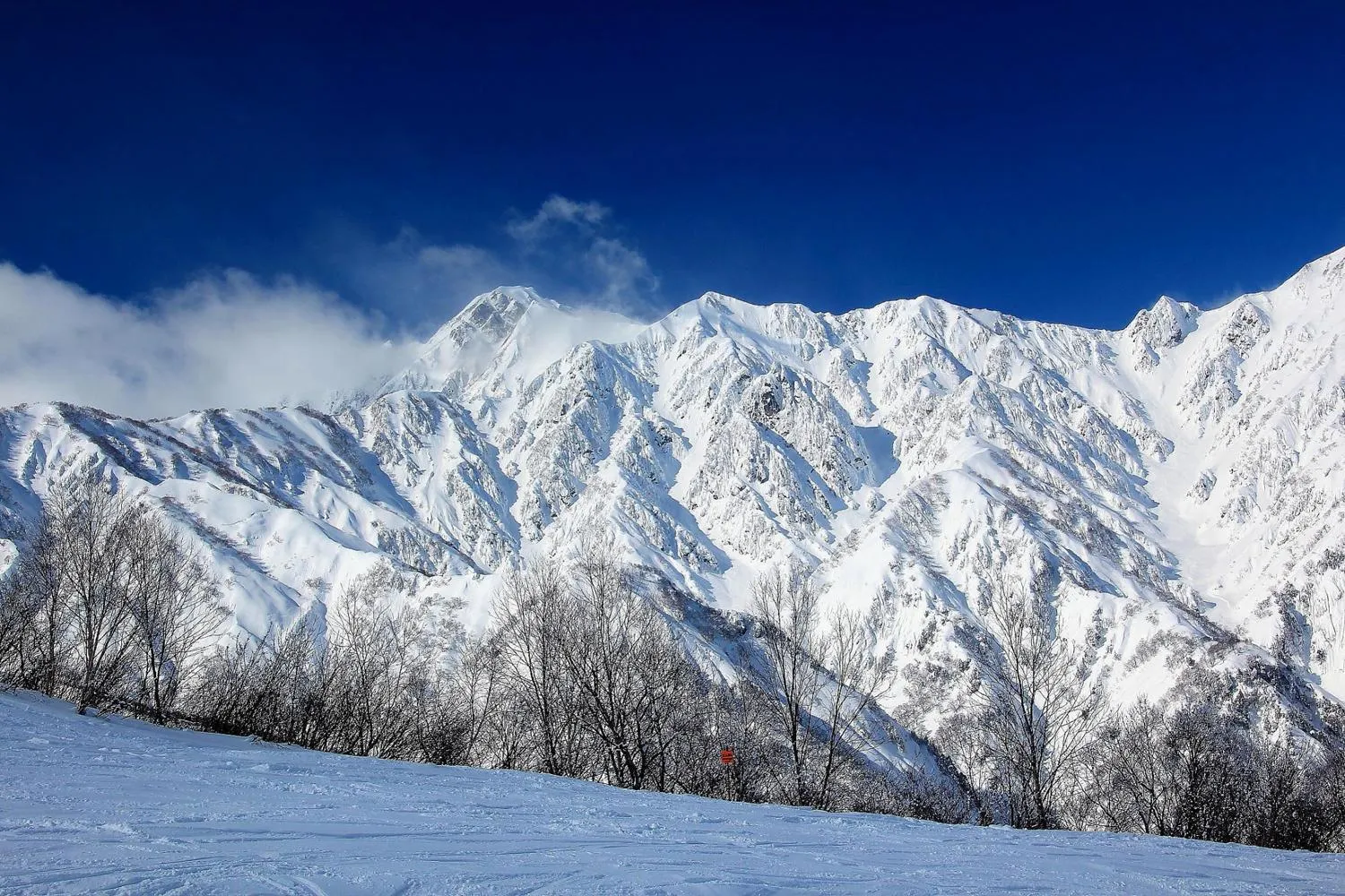 Skiing in The Guest House Japan Hakuba