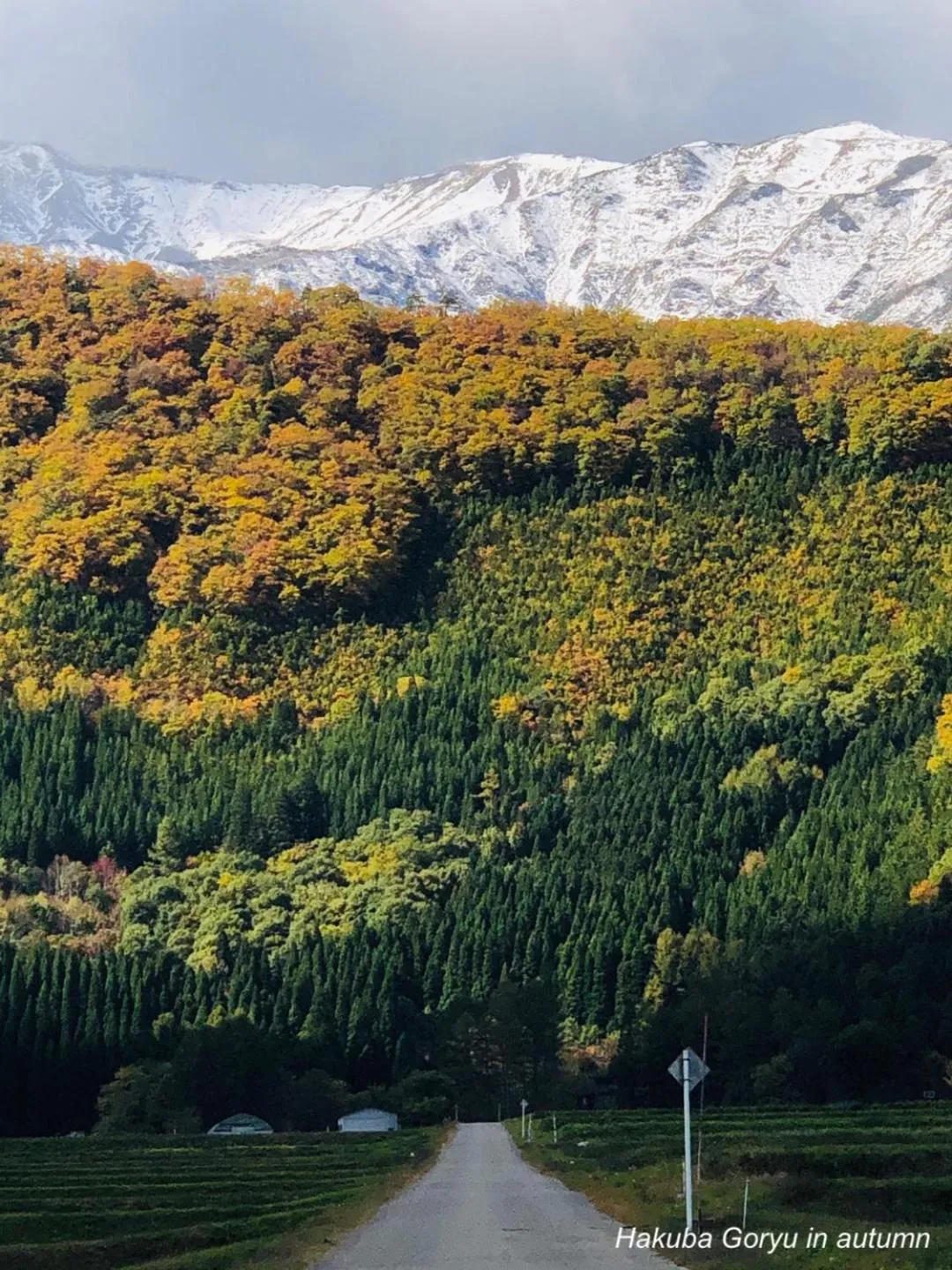 The Guest House Japan Hakuba