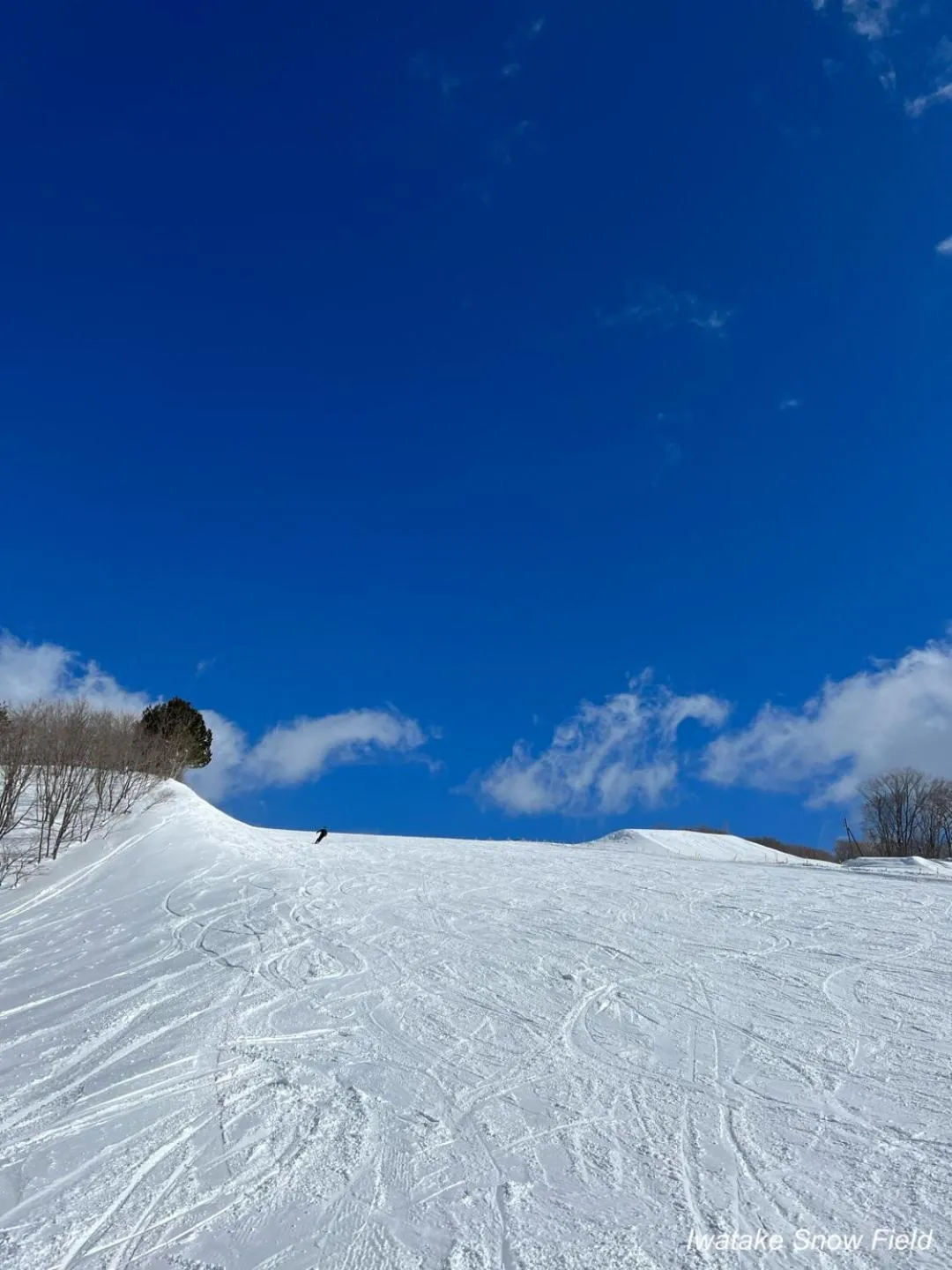 The Guest House Japan Hakuba