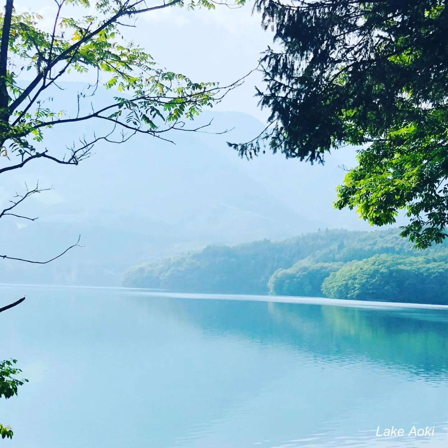 The Guest House Japan Hakuba