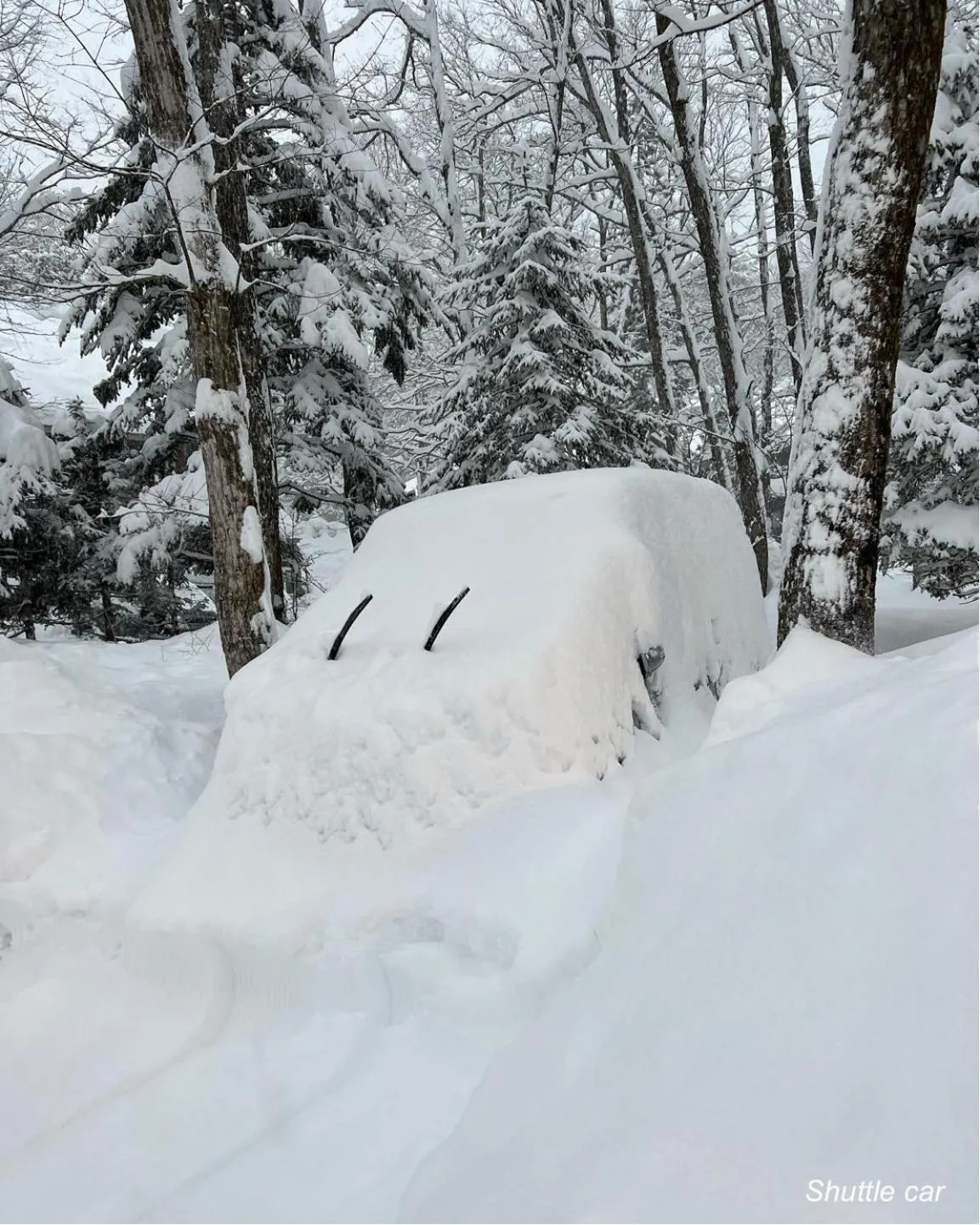 The Guest House Japan Hakuba