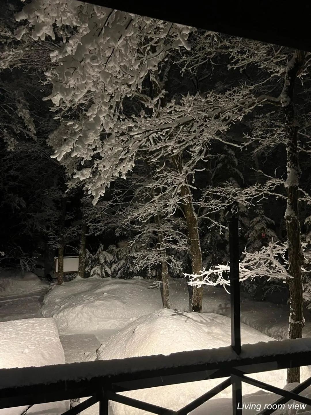 The Guest House Japan Hakuba