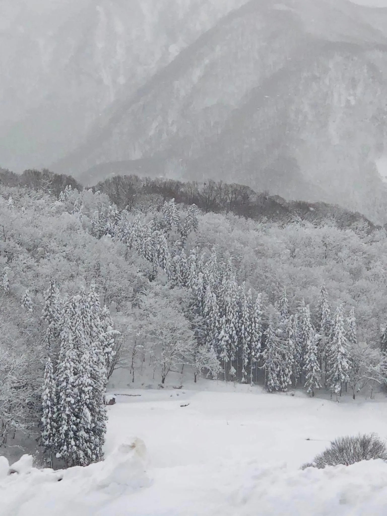 The Guest House Japan Hakuba