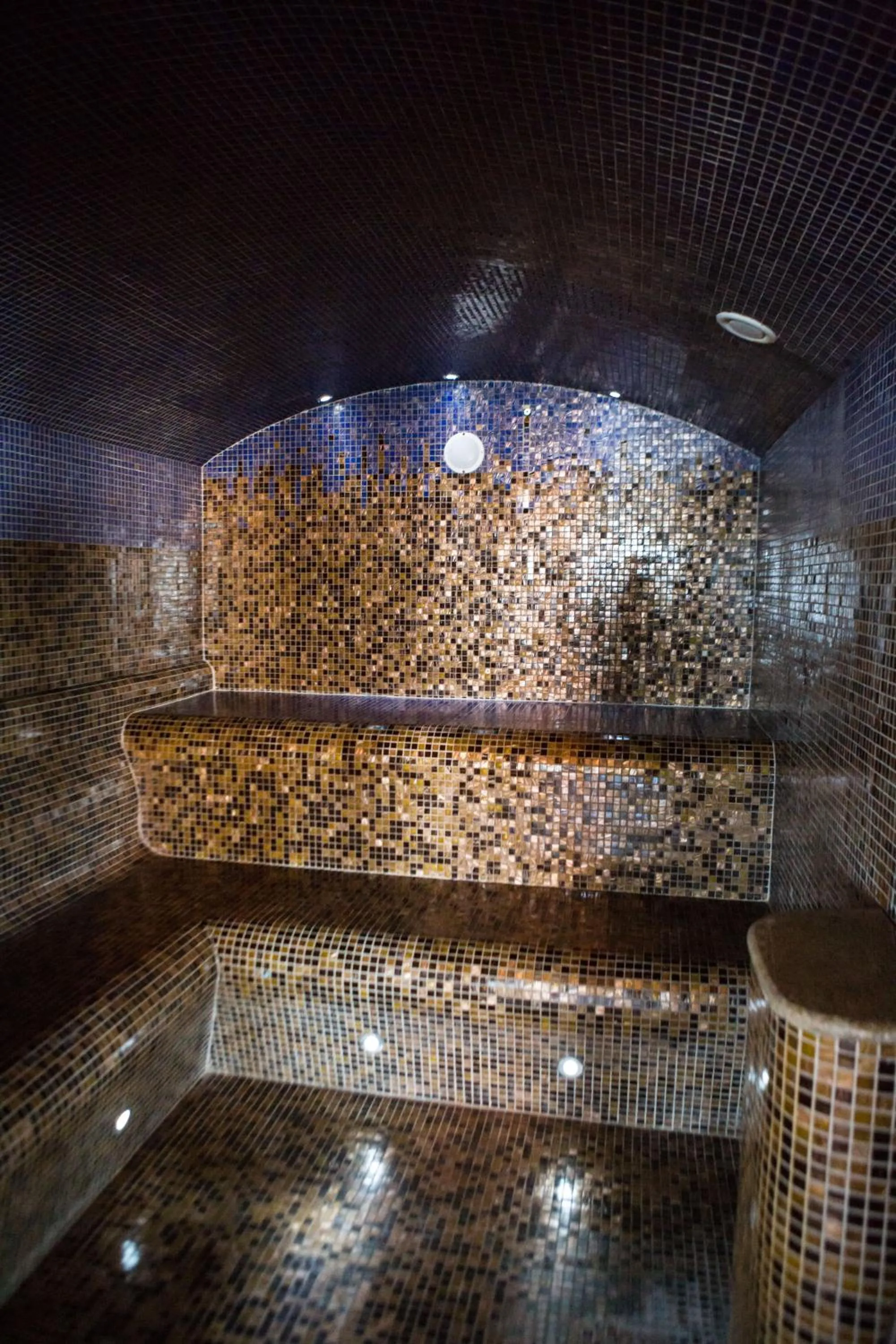 Spa and wellness centre/facilities in SPA Amber Palace