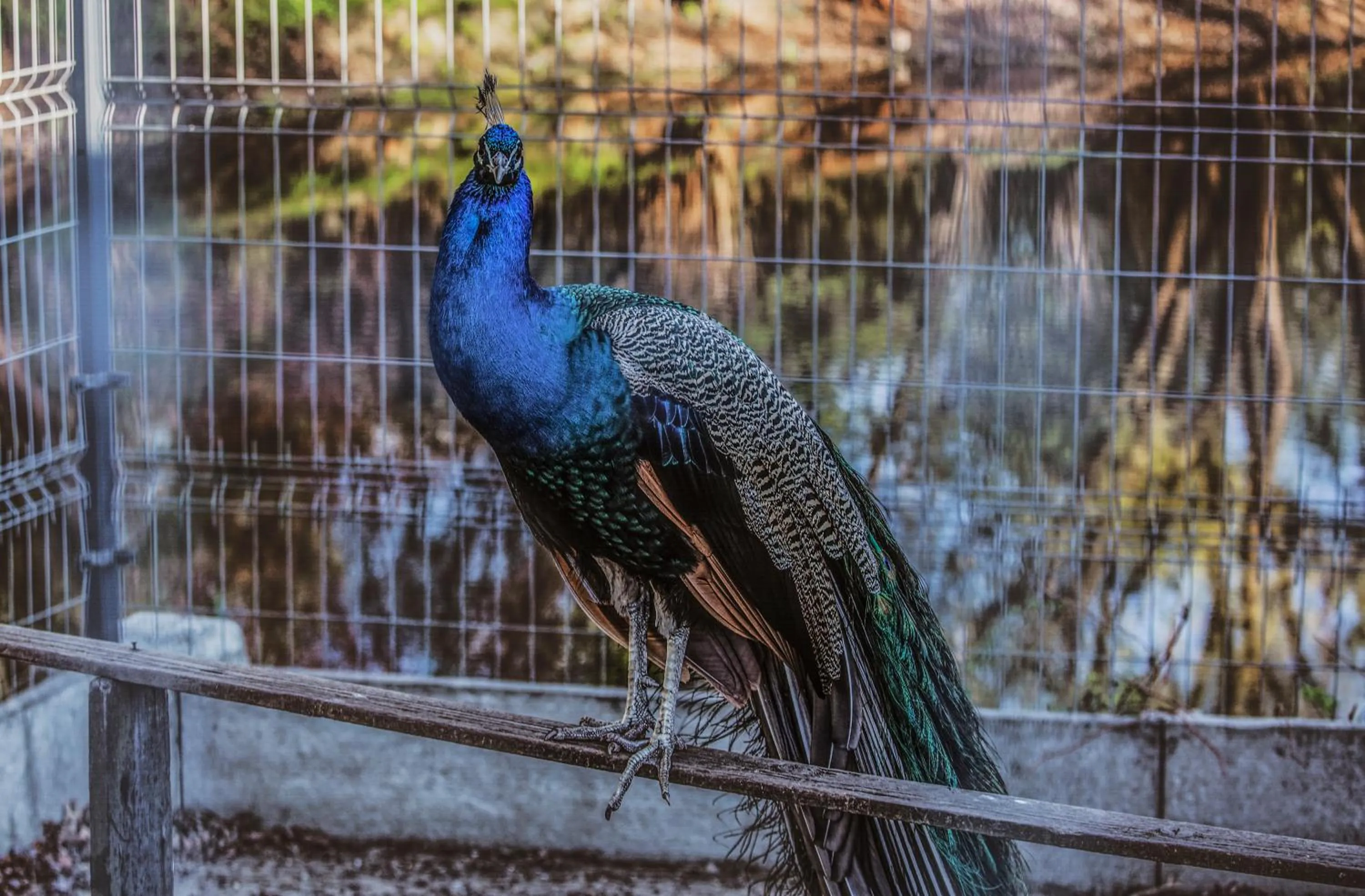 Property logo or sign in Rezydencja Luxury Hotel Bytom Piekary Śląskie