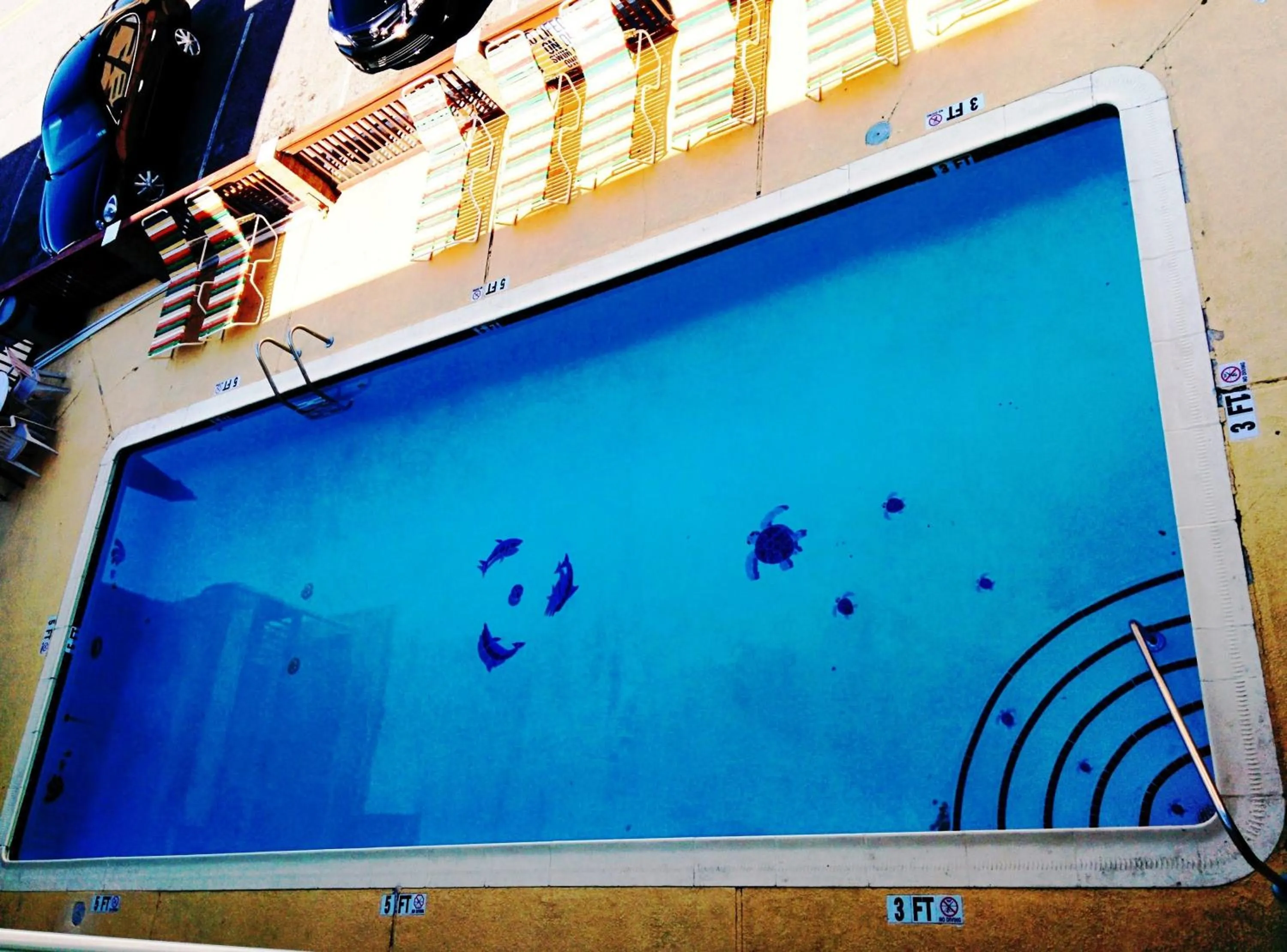 Pool view in El Dorado