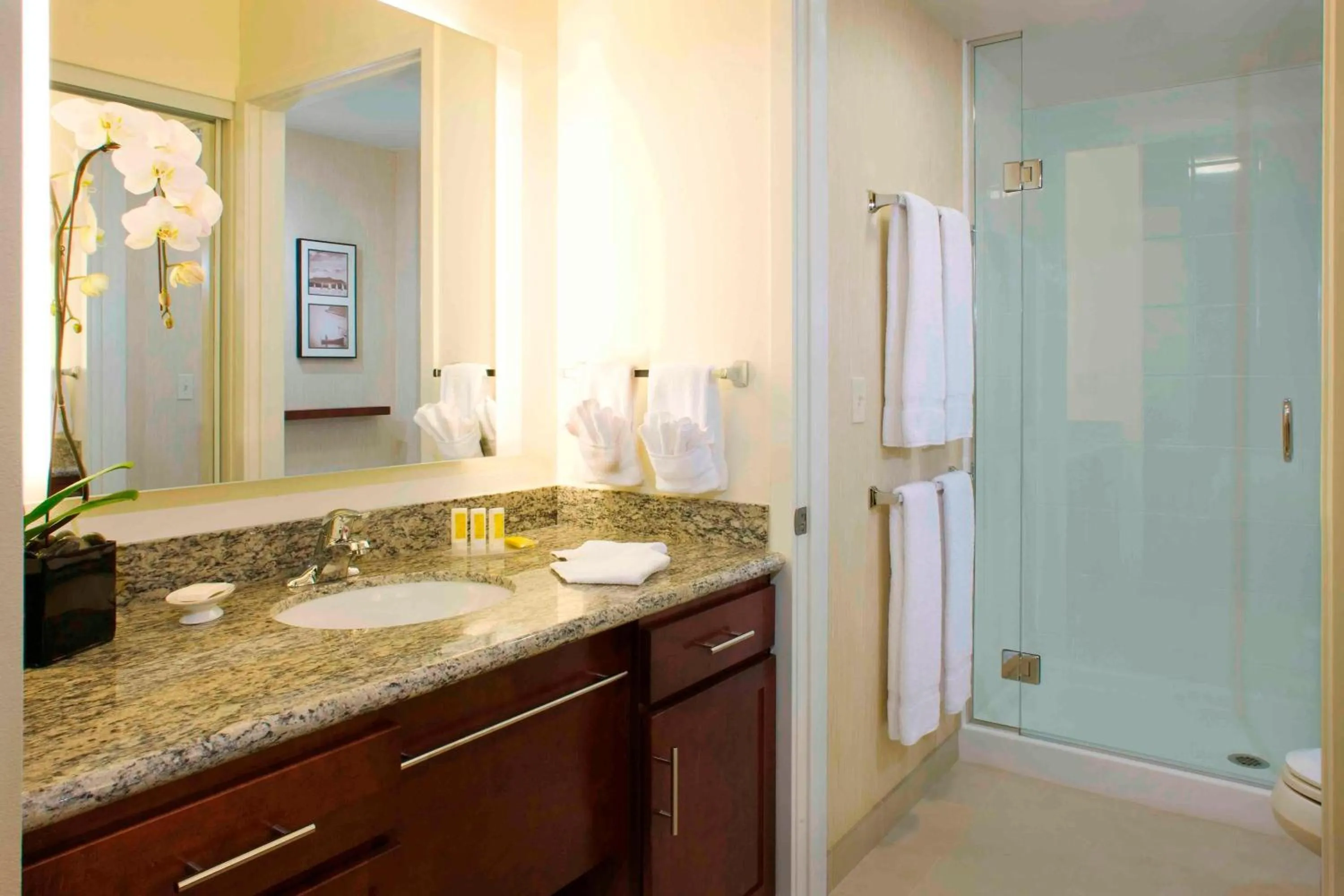 Bathroom in Residence Inn by Marriott San Juan Capistrano