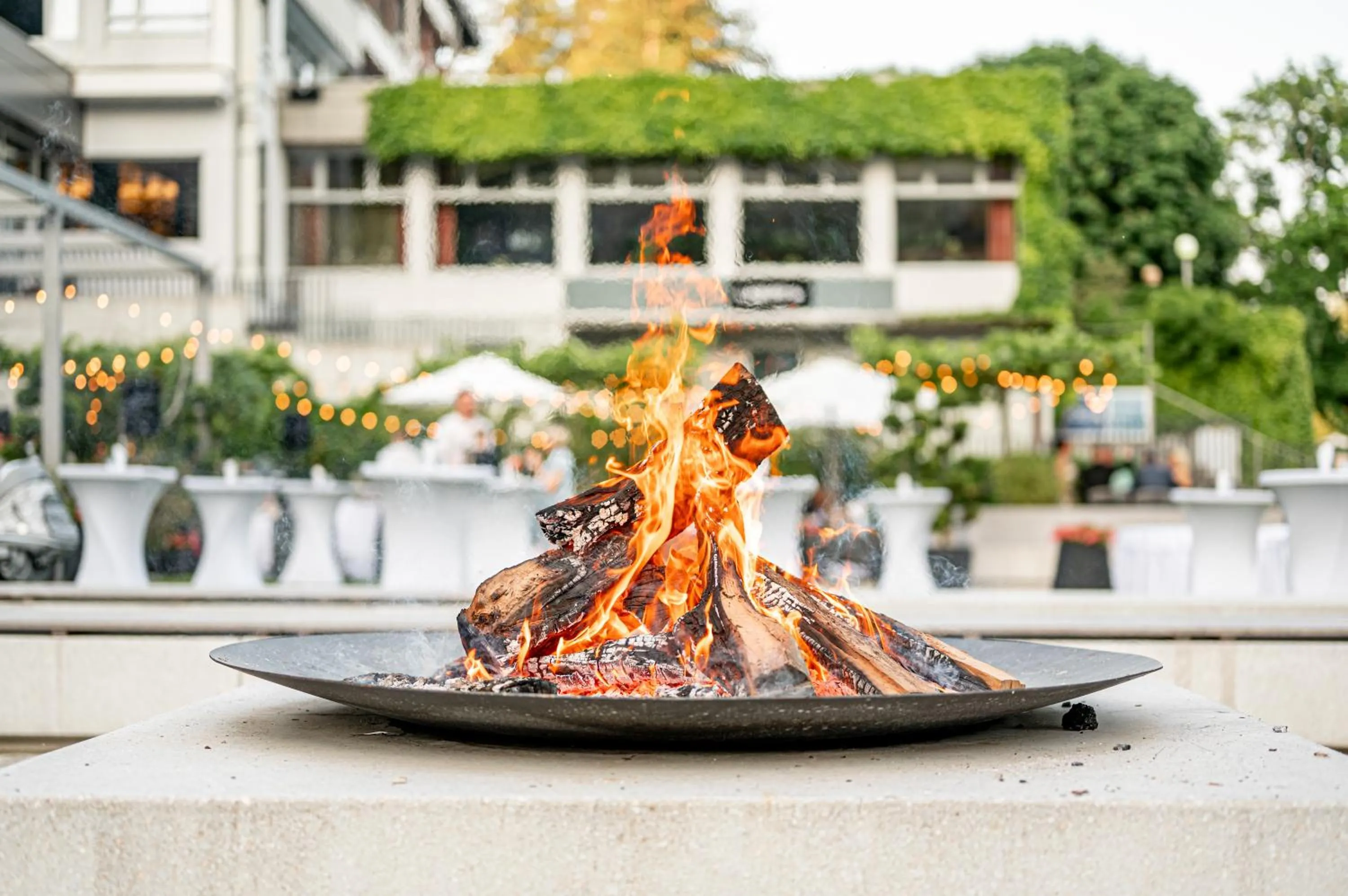 Garden in Bled Rose Hotel