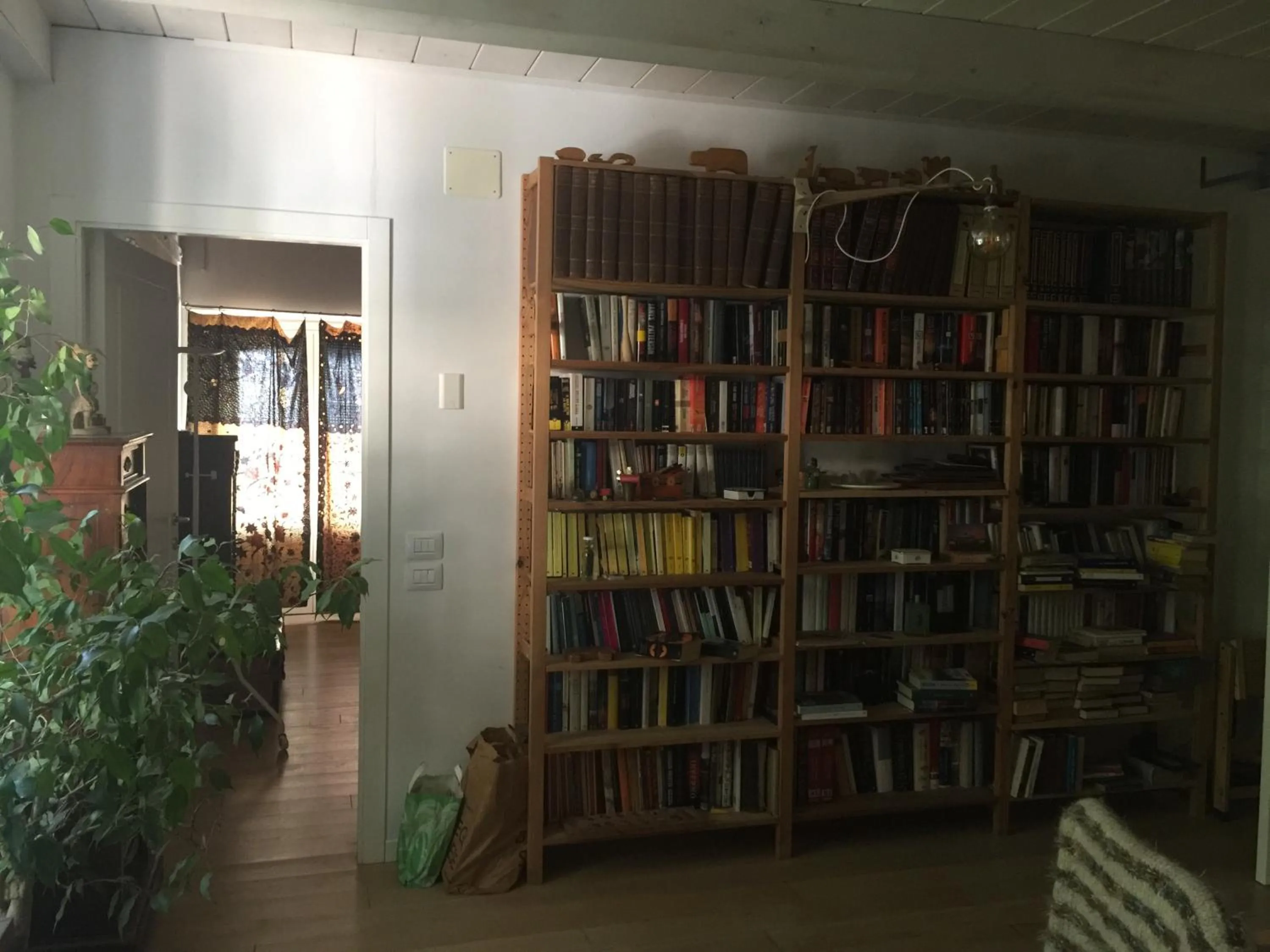 Library in La casa sul golfo