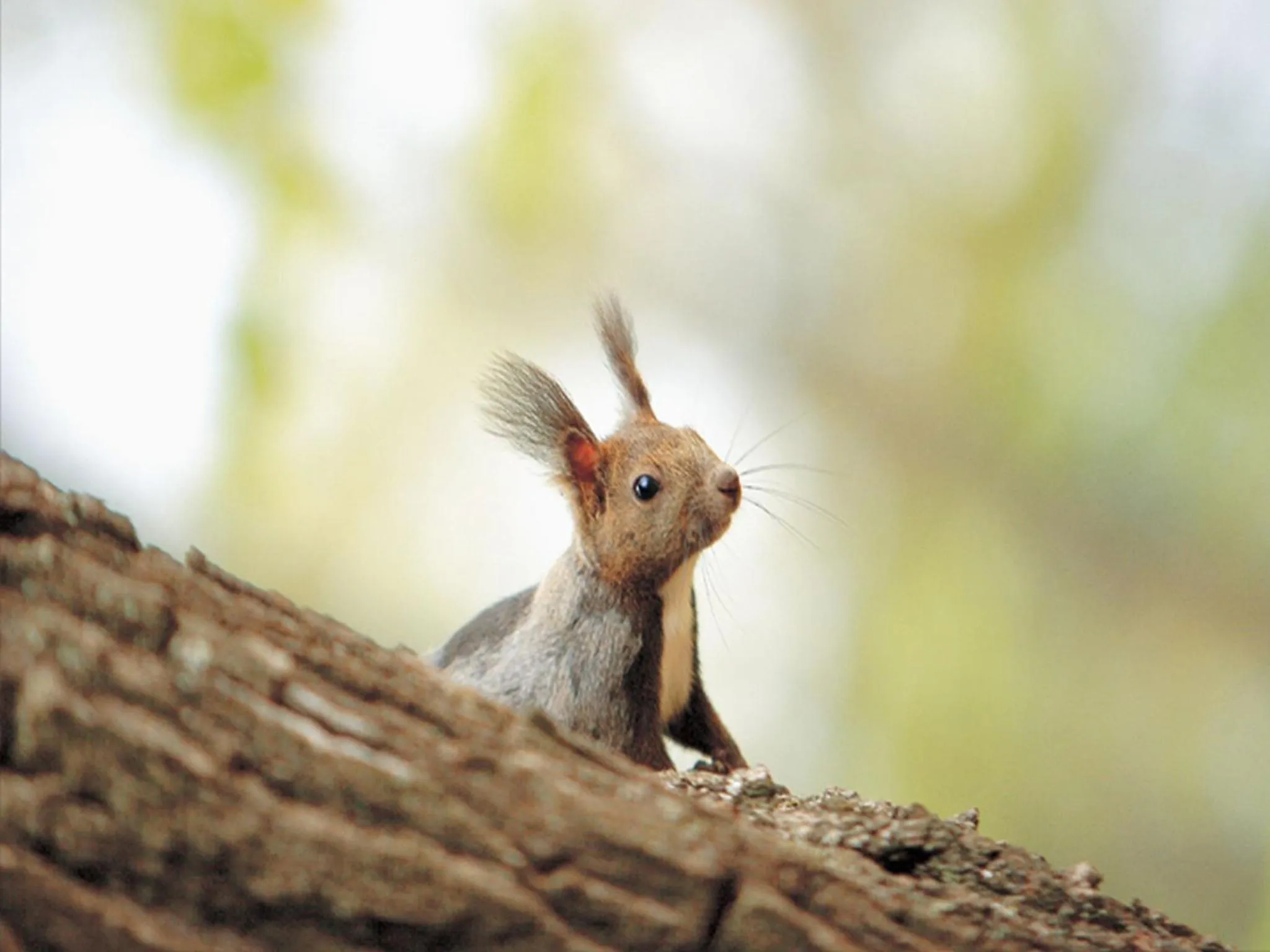 Other in Hokkaido Hotel