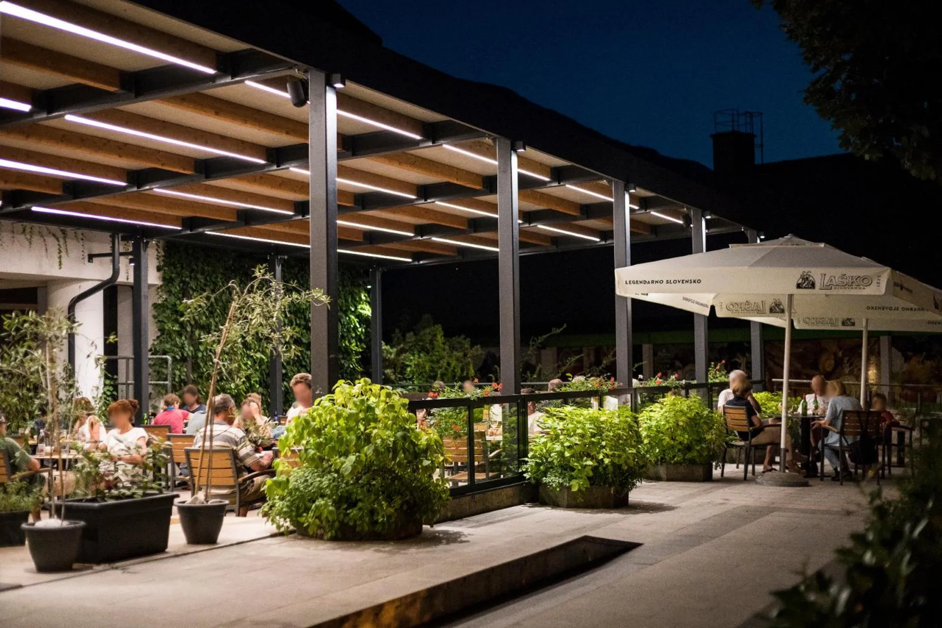 Restaurant/places to eat in Hotel Alp