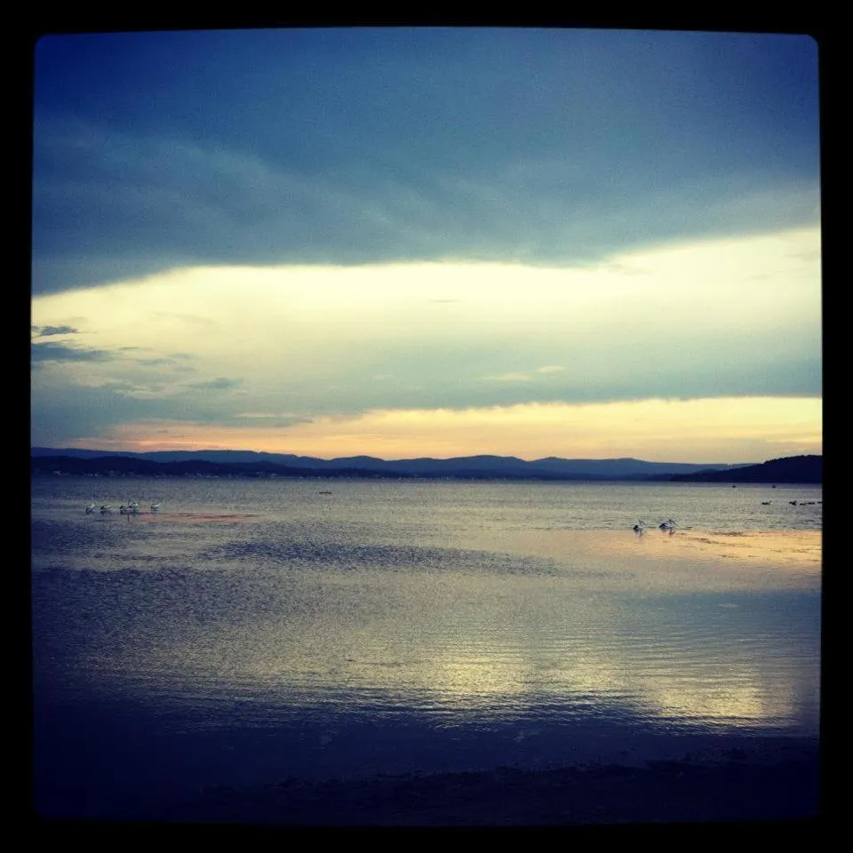 Beach in Aquarius Motel