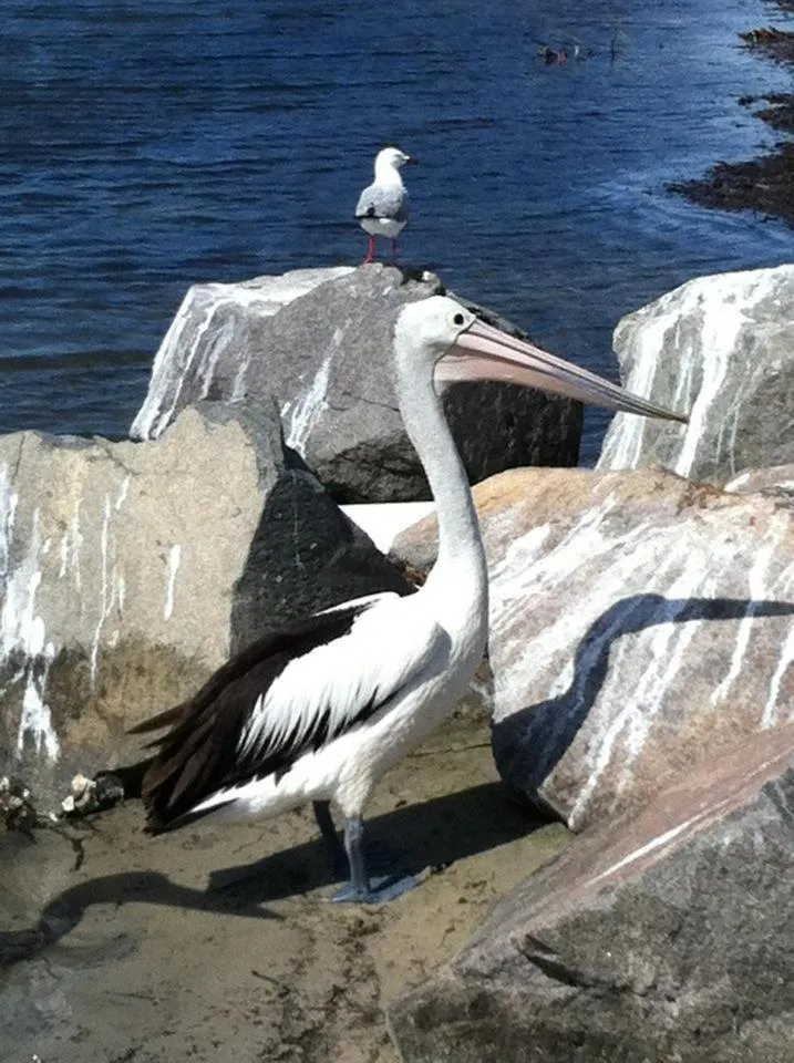 Day in Aquarius Motel