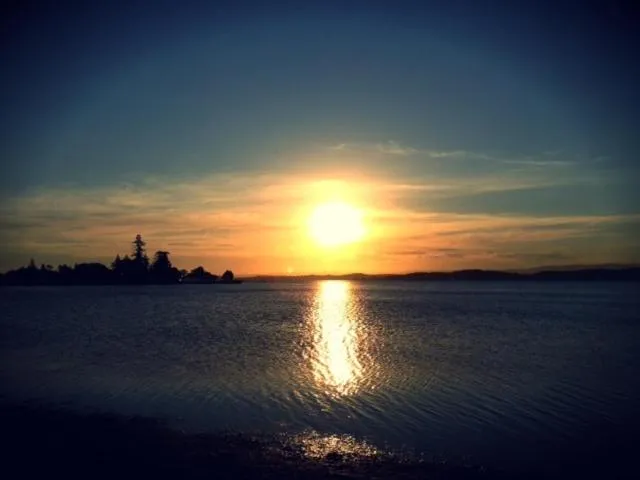 Other in Aquarius Motel