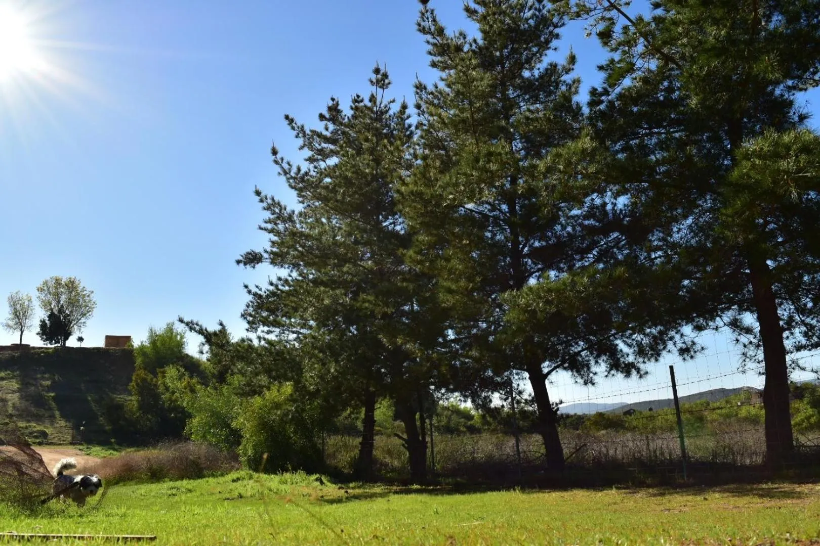 Natural landscape in Bajo el Sol del Valle