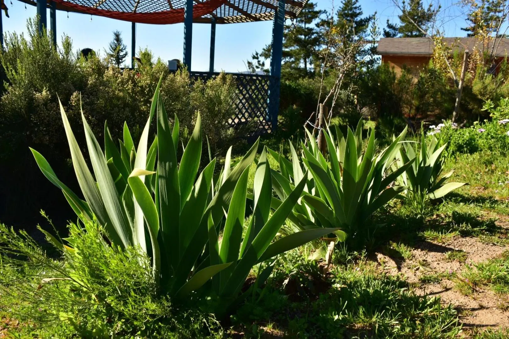 Garden in Bajo el Sol del Valle