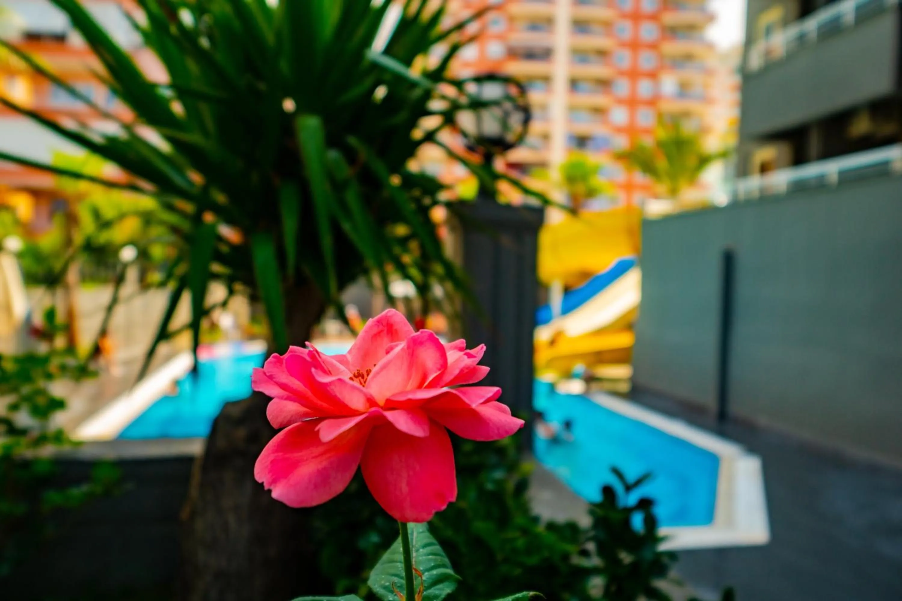 Pool view in Senza Grand Santana Hotel - Ultra All Inclusive