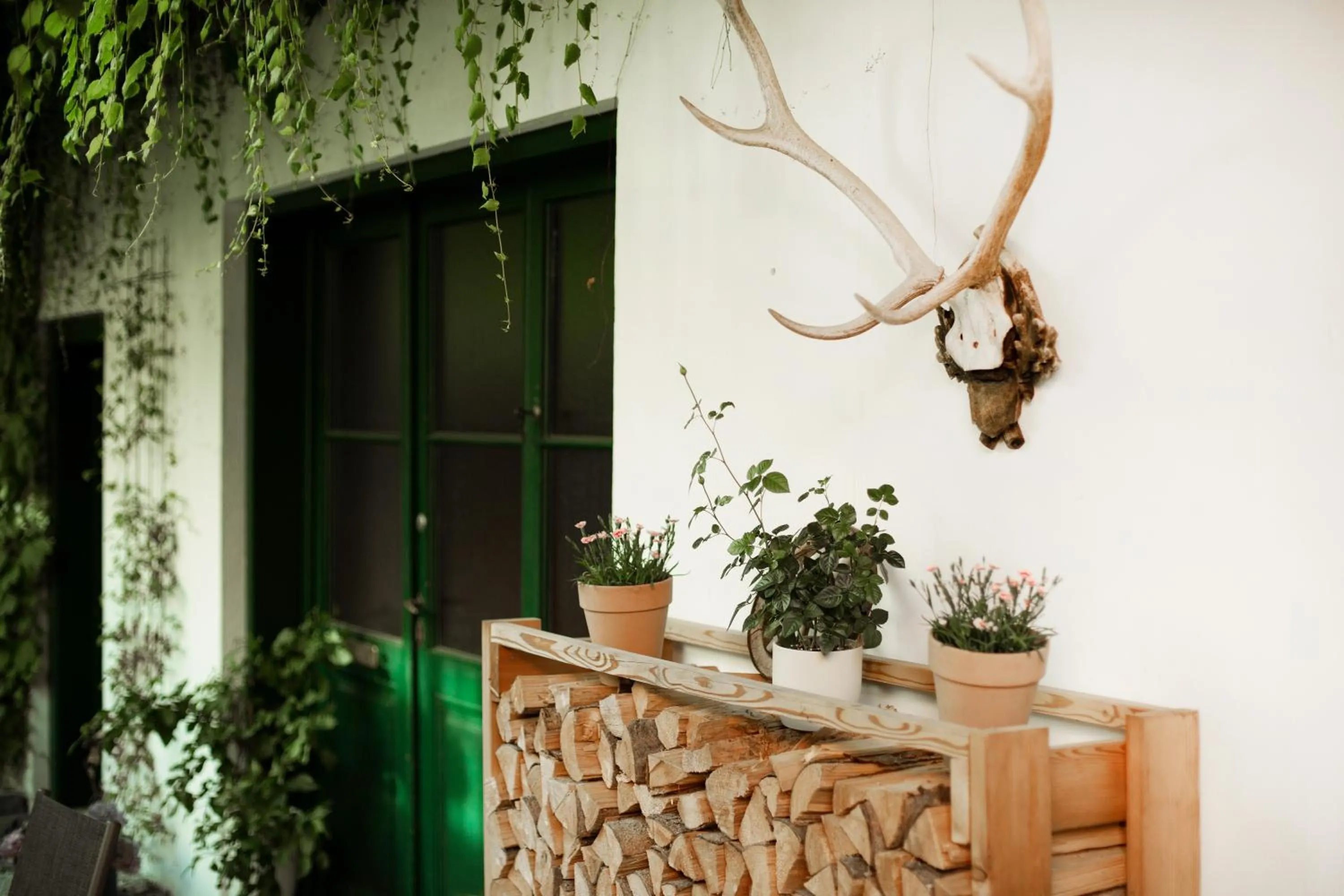 Patio in Gasthof Hotel Zweimüller