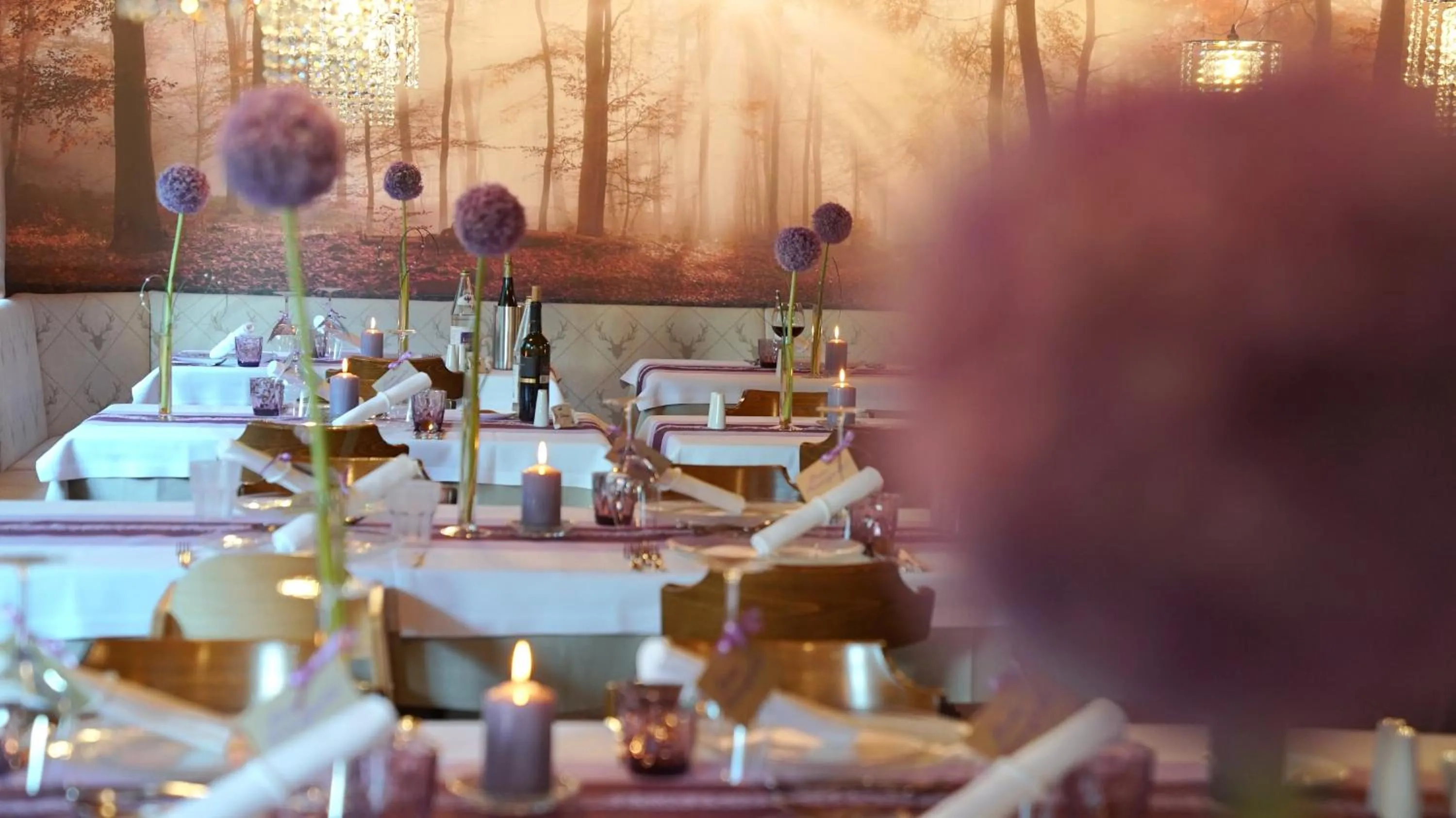 Restaurant/places to eat in Hotel Jägerheim 3S