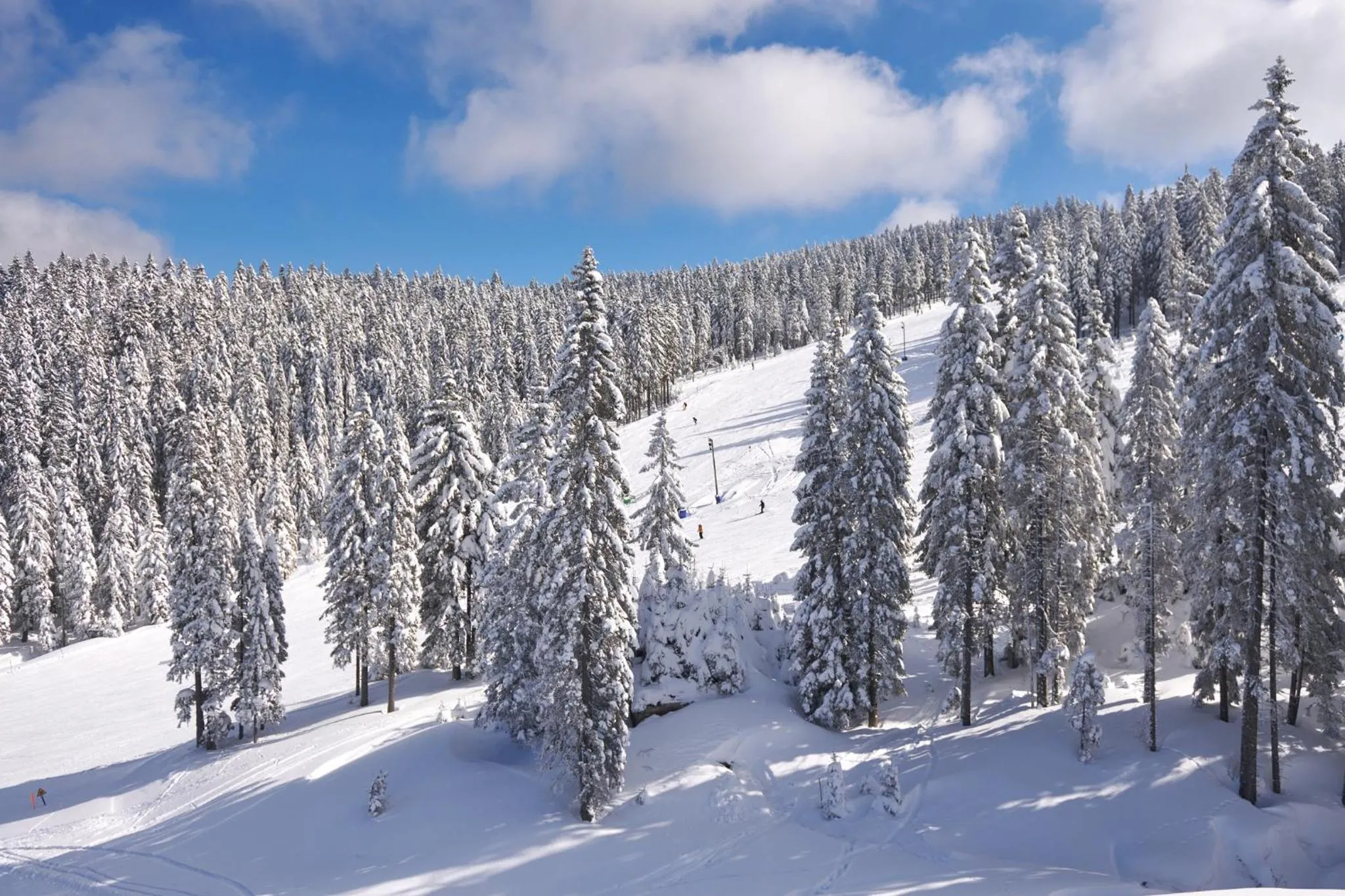 Natural landscape in Hotel Planja
