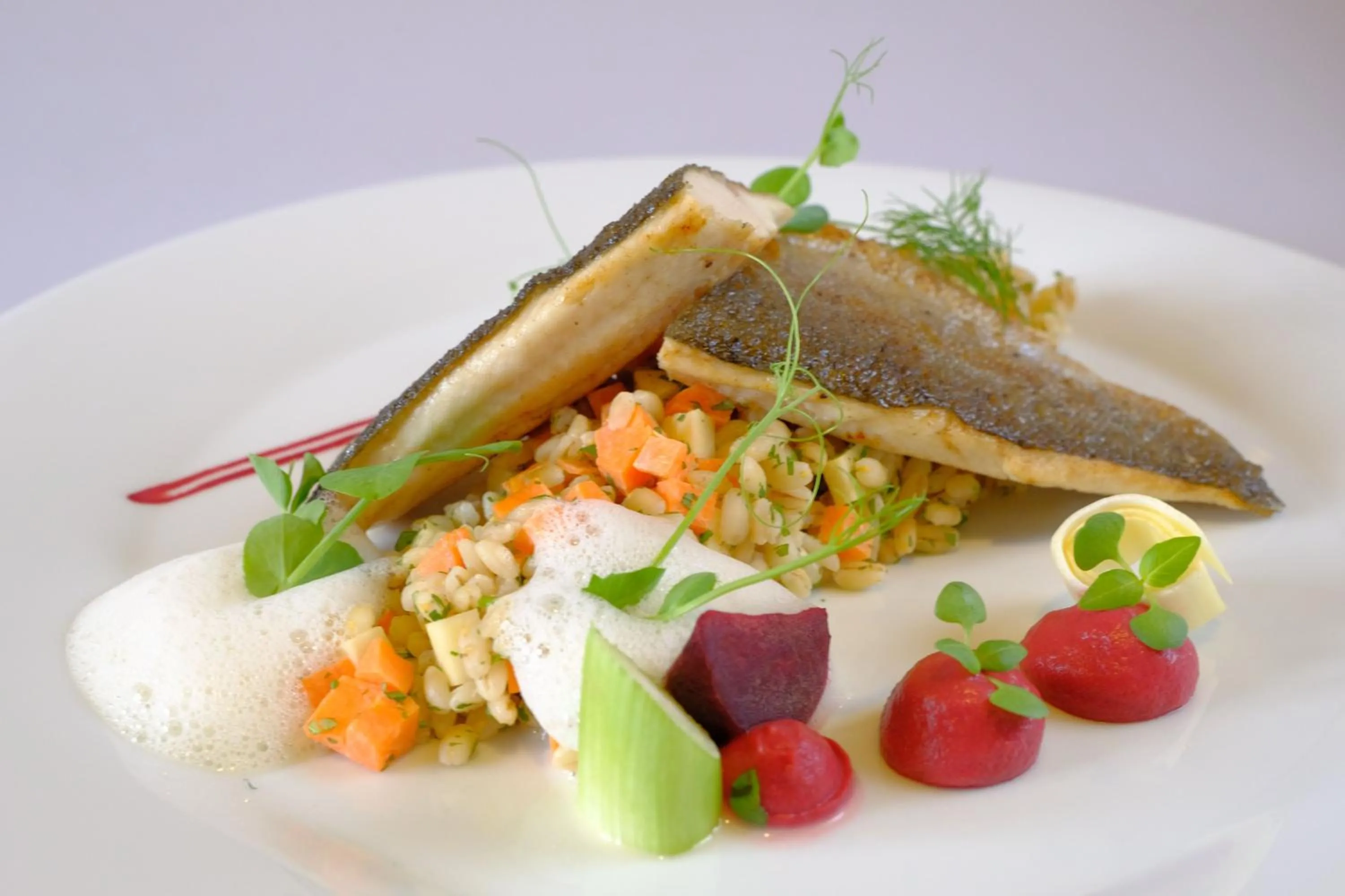 Food and drinks in Hotel Planja