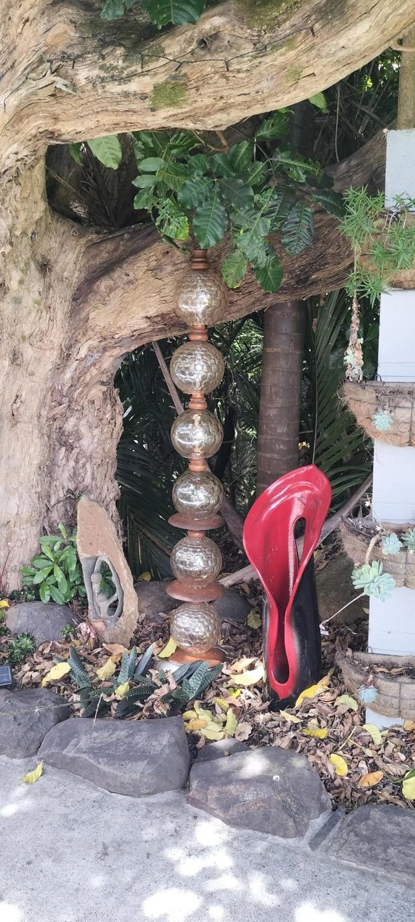 Garden view in Bird Haven