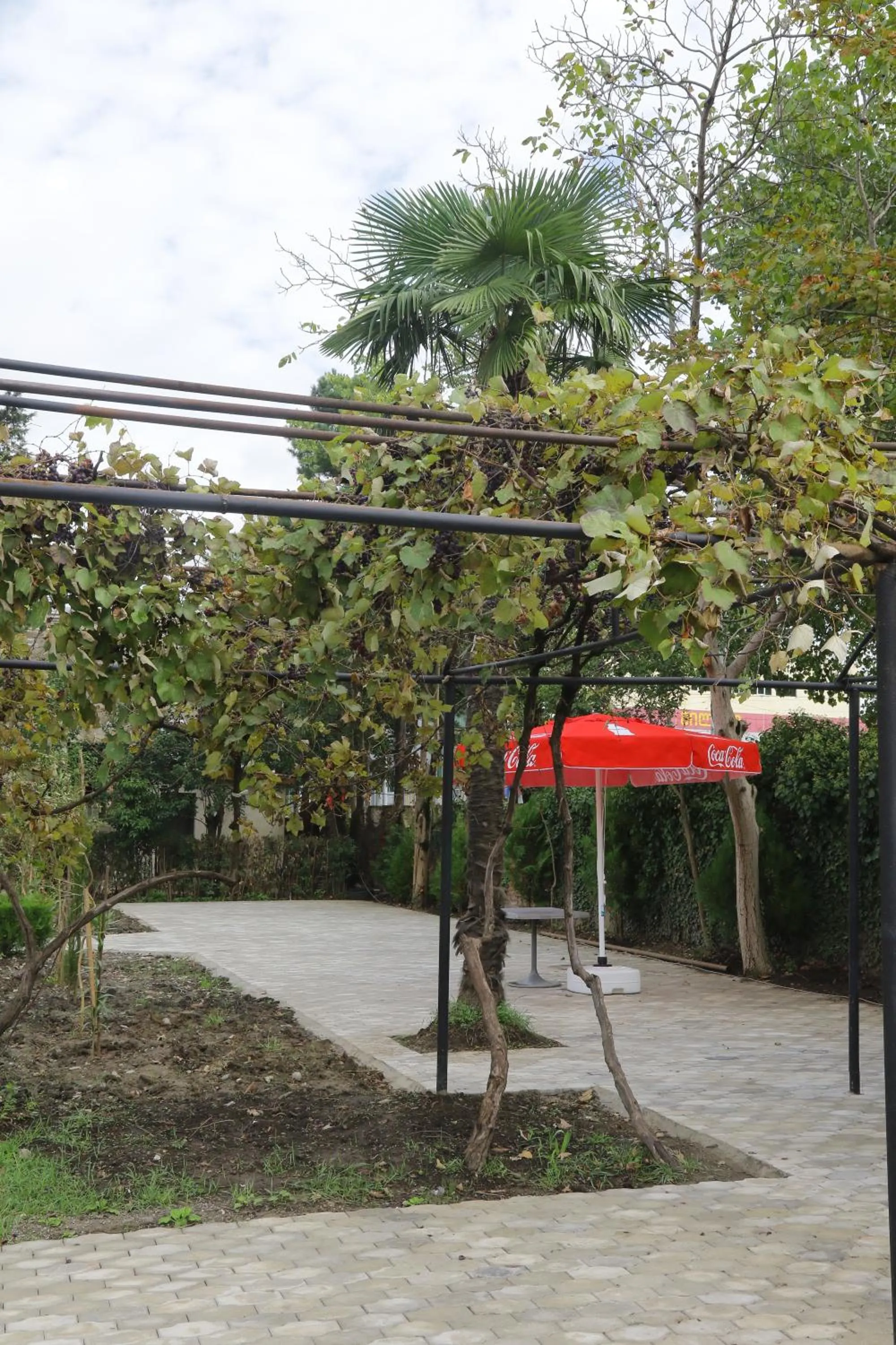 Garden in Hotel AGUNA