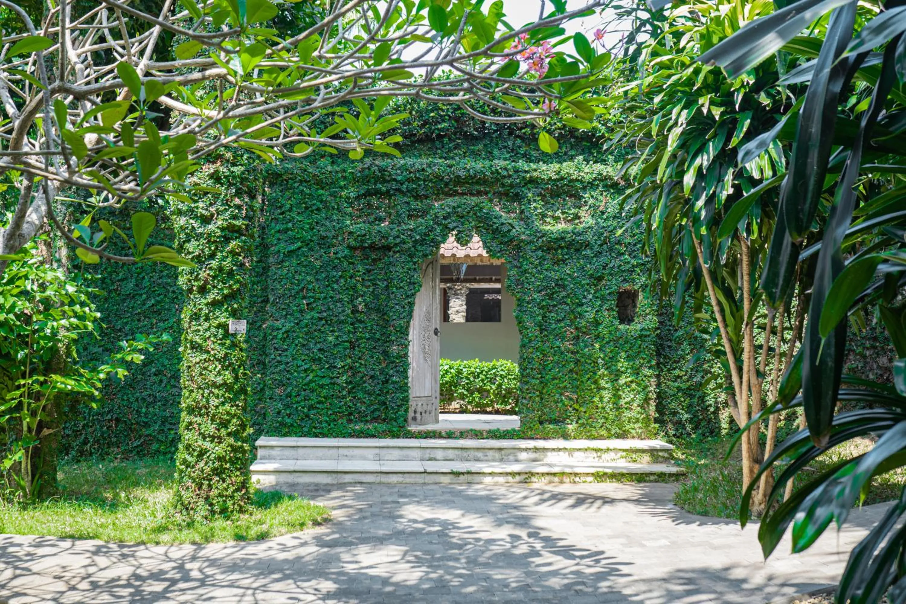 Natural landscape in Coconut Lodge Resort