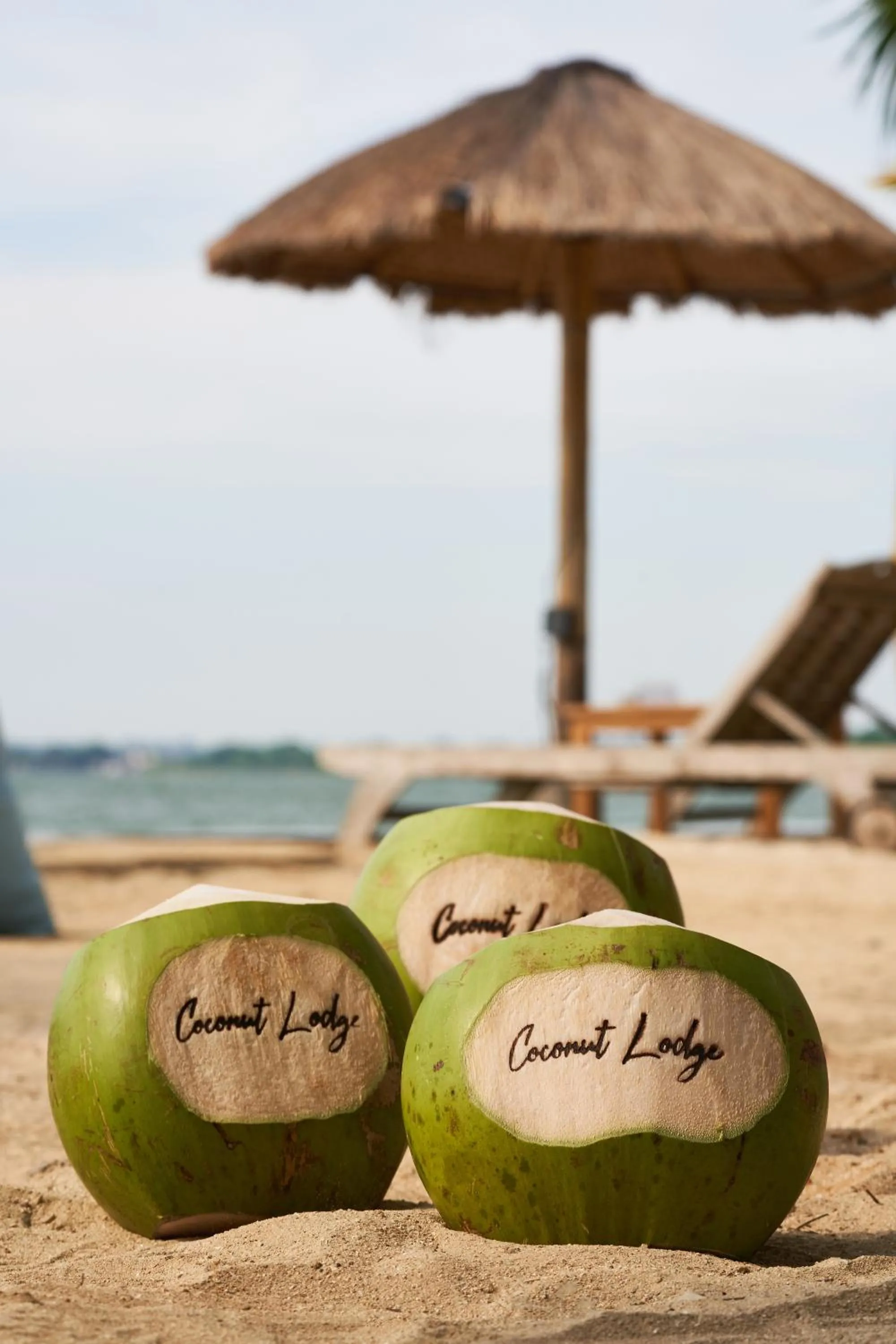 Restaurant/places to eat in Coconut Lodge Resort