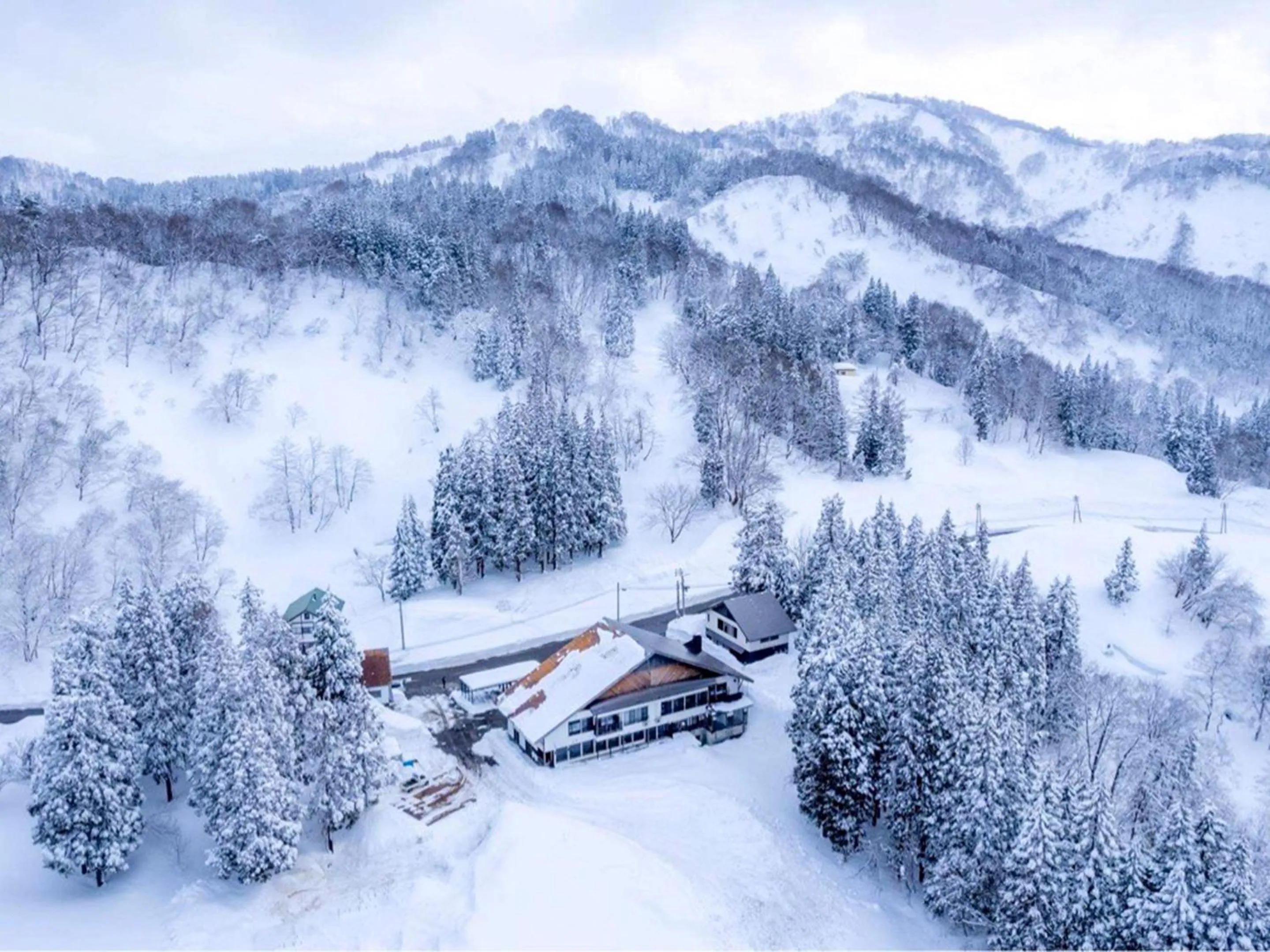 Natural landscape in Auberge 醸す森 "kamosu mori"