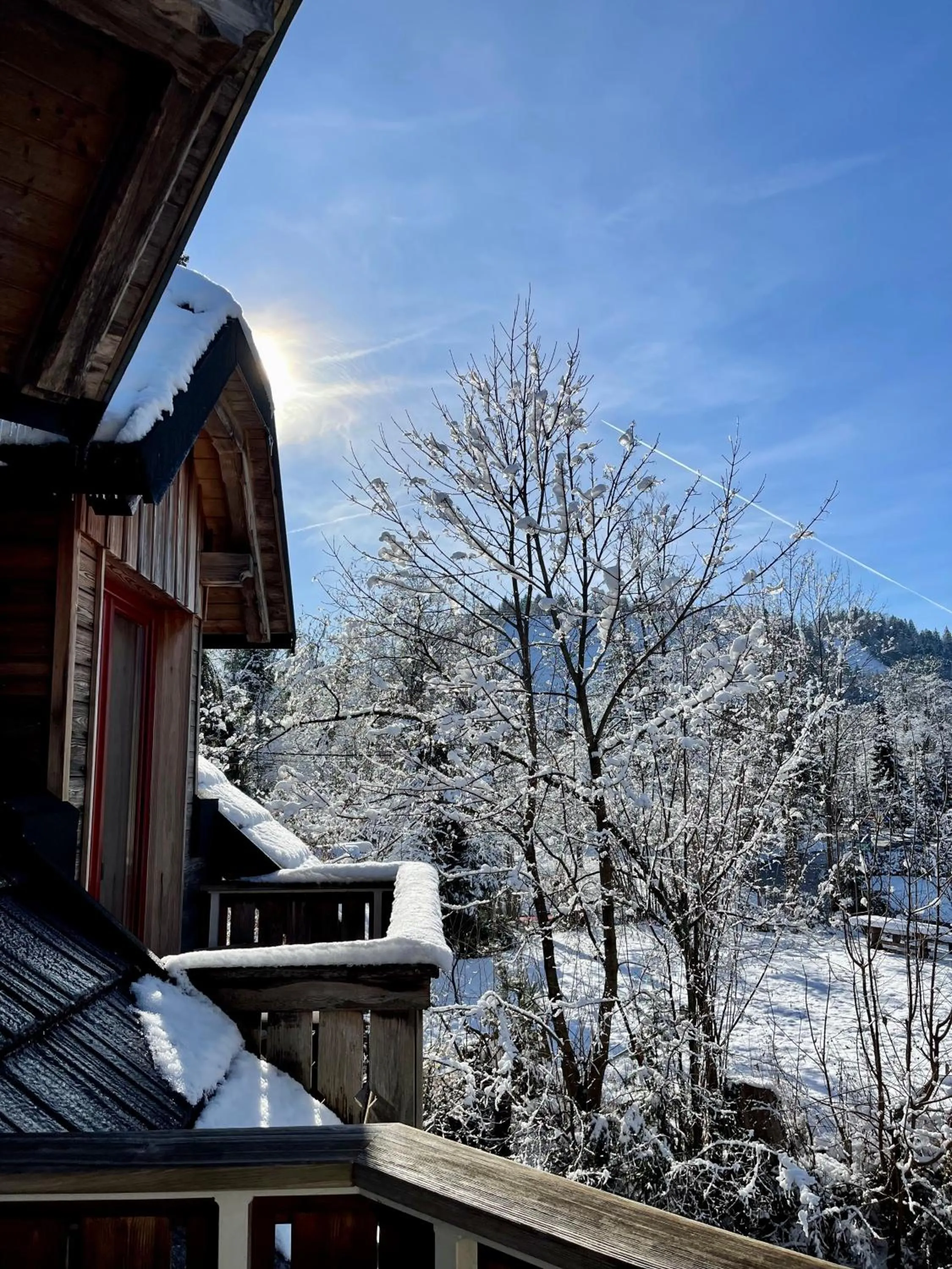 Balcony/Terrace in Aparthotel Gaja