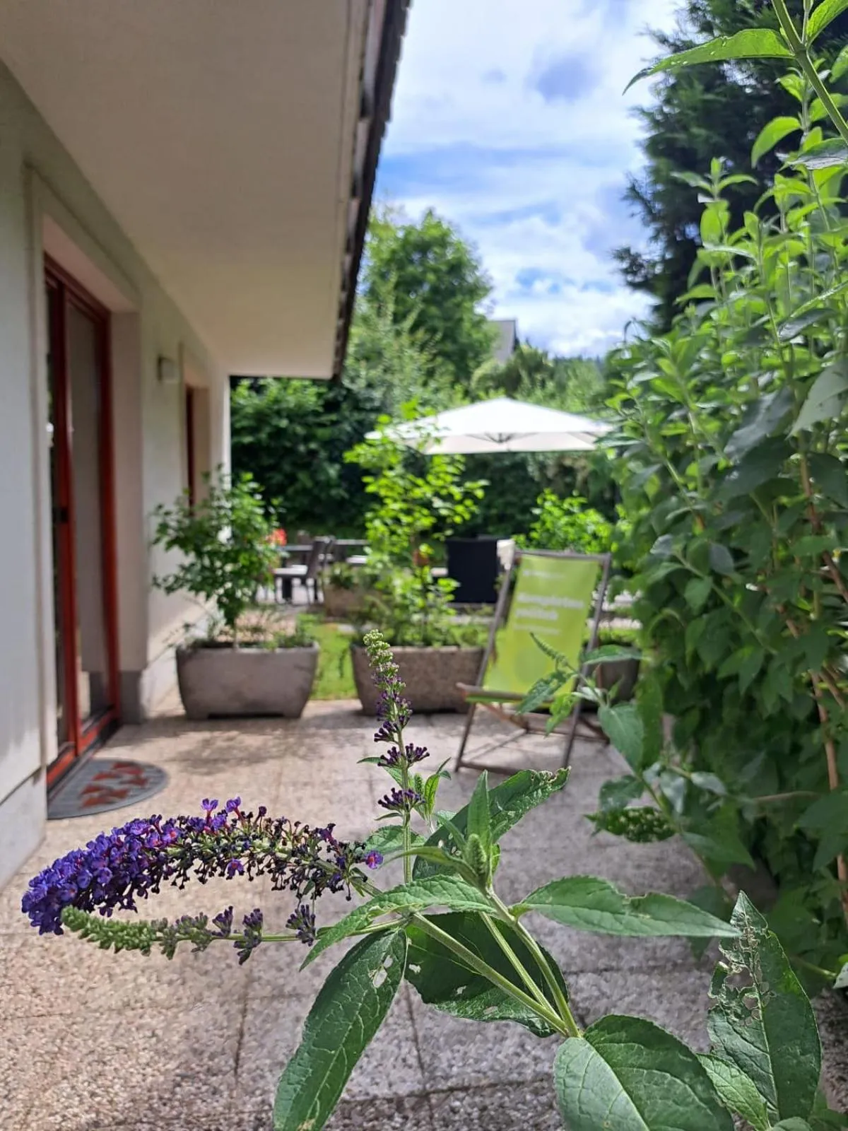 Patio in Aparthotel Gaja