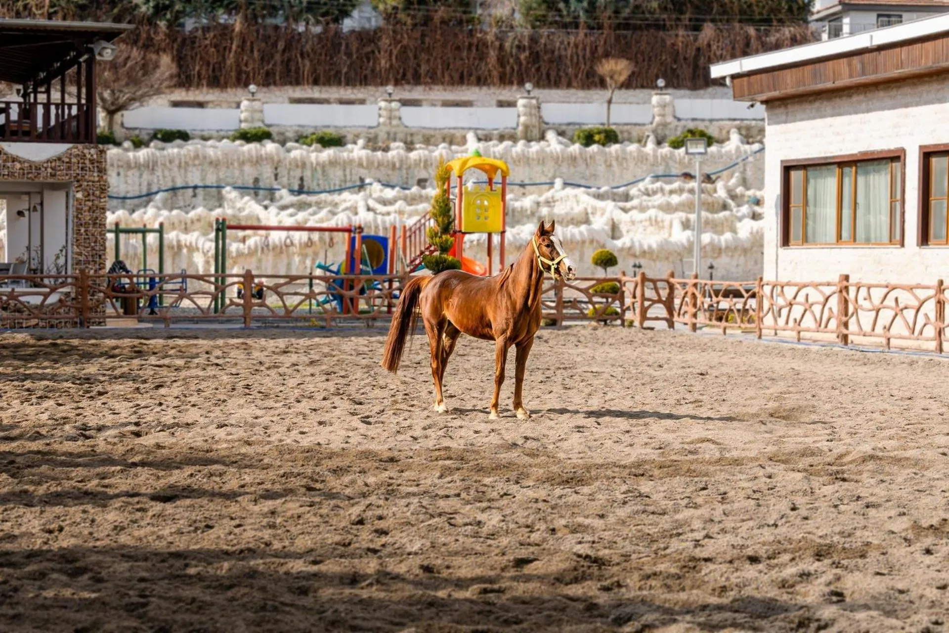 Horse-riding in Ugurlu Termal Tatil Köyü