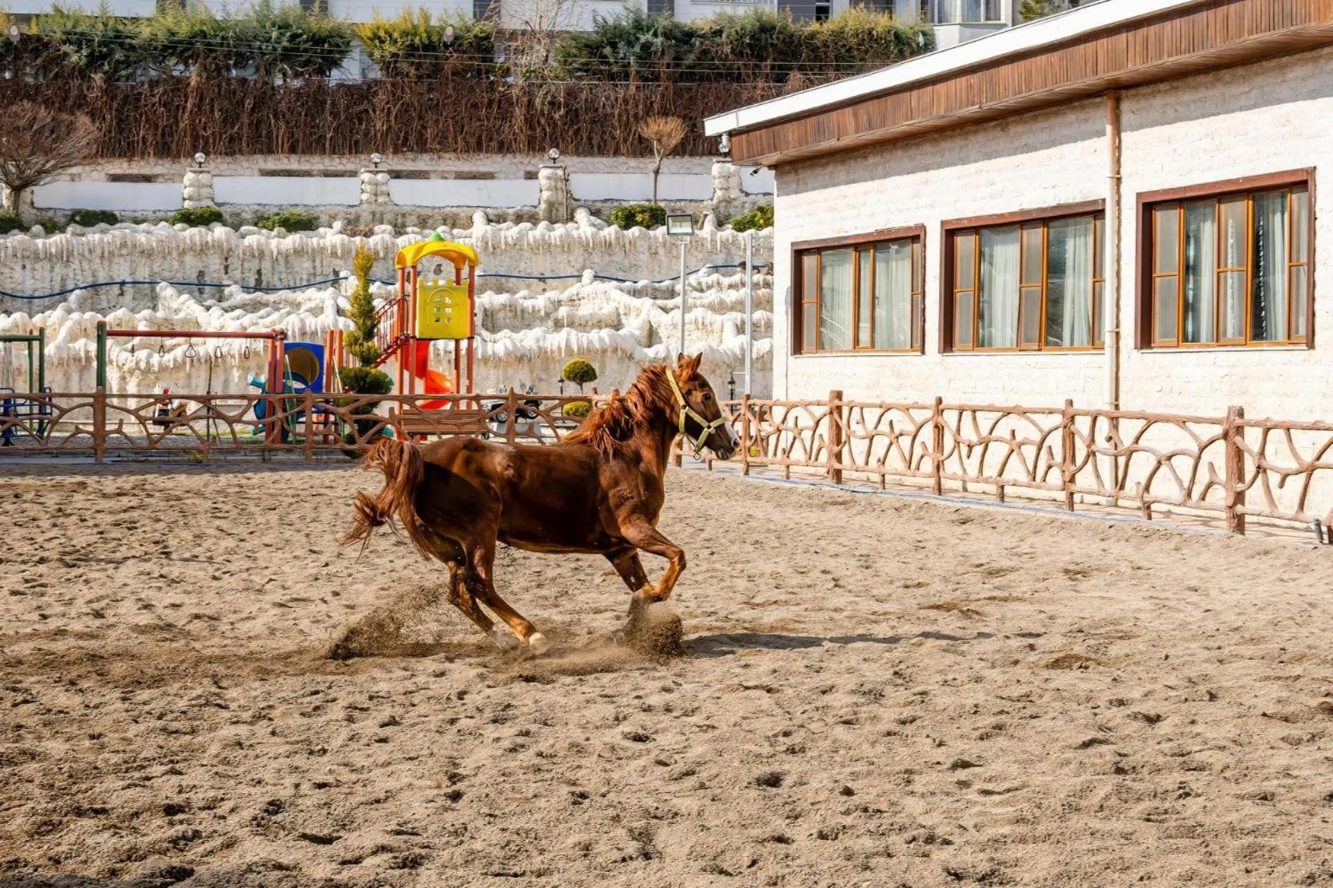 Horse-riding in Ugurlu Termal Tatil Köyü