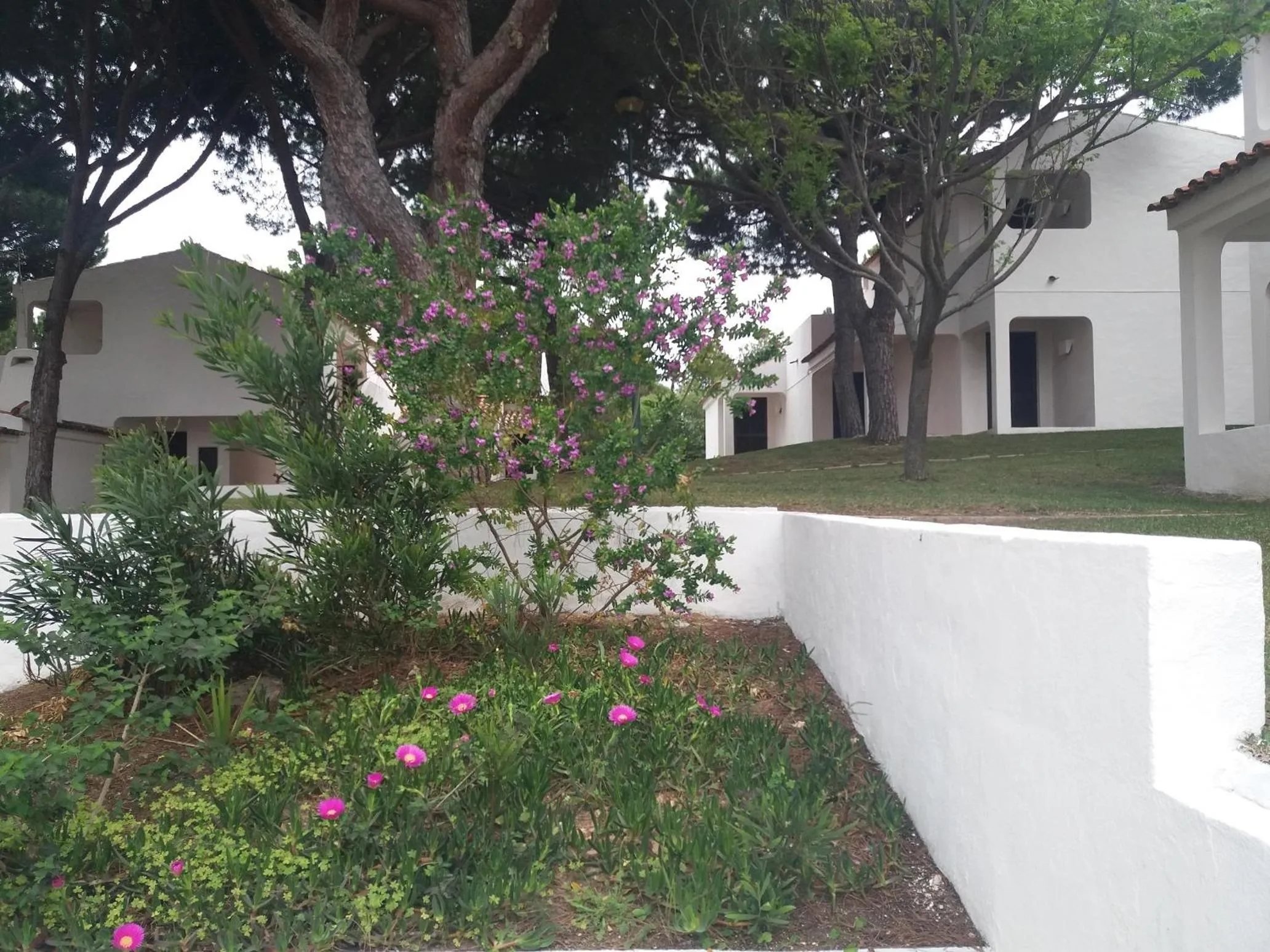 Garden in Aldeia Da Falesia