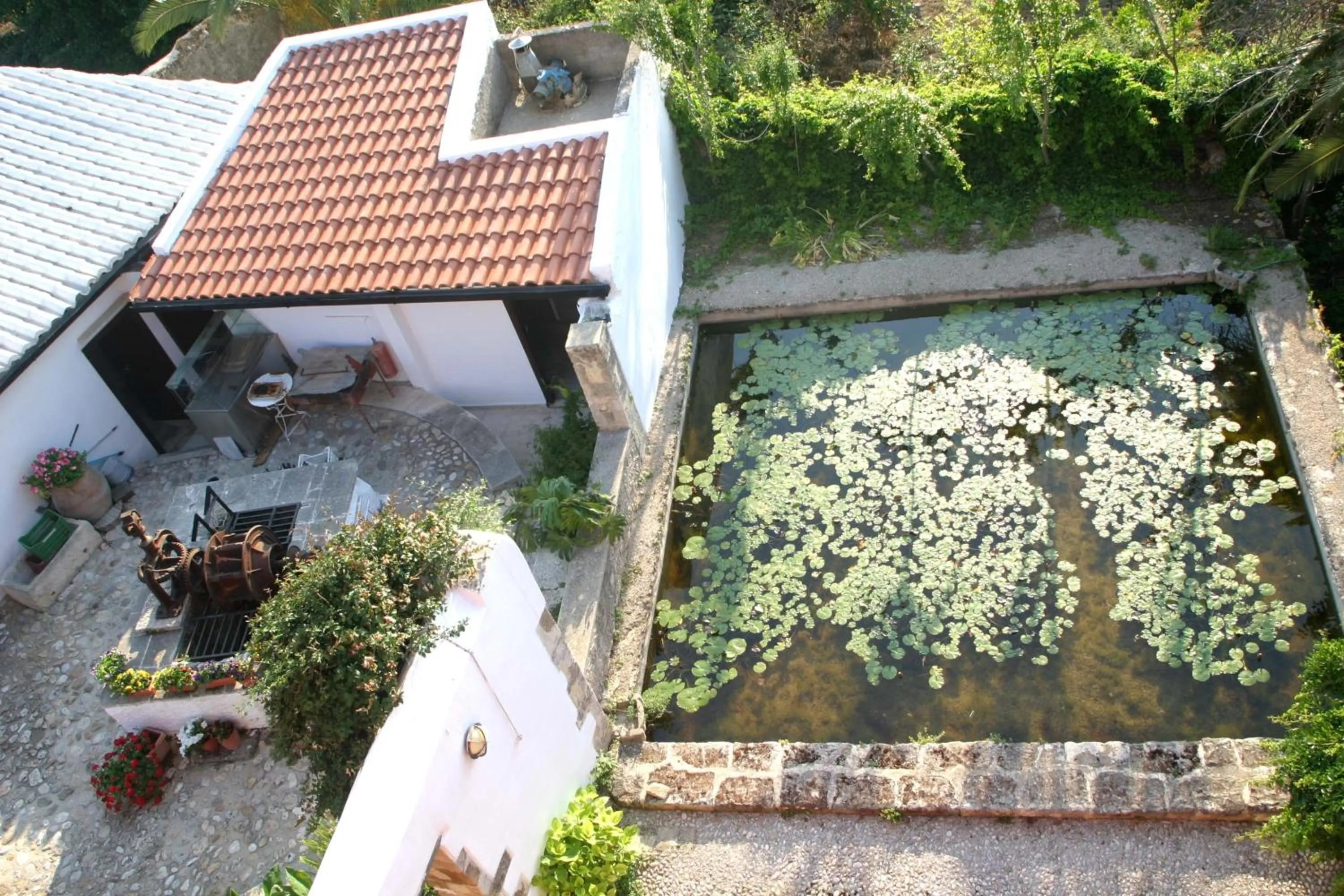 Bird's eye view in Oasis Guesthouse