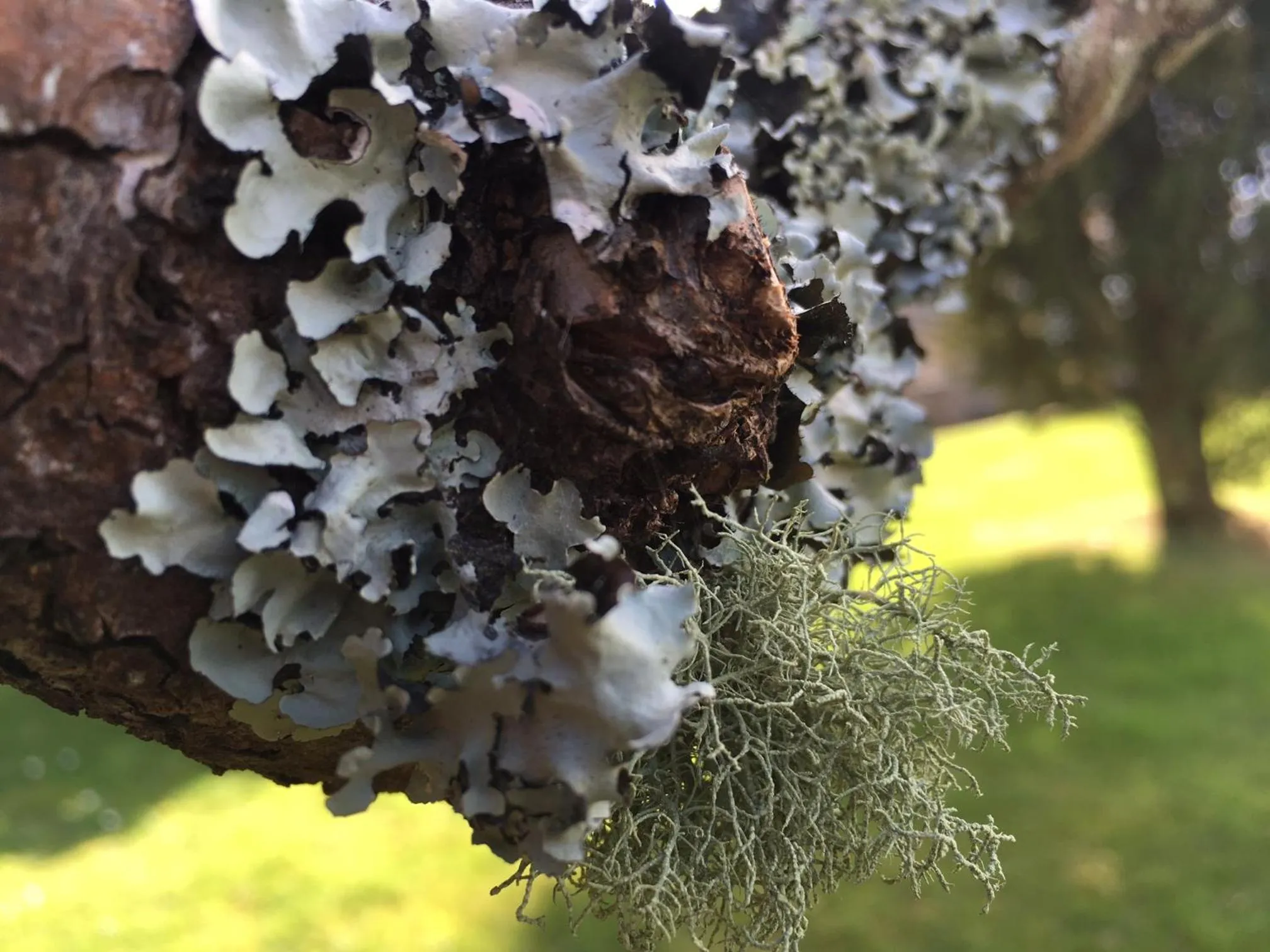 Quinta das Mineirinhas